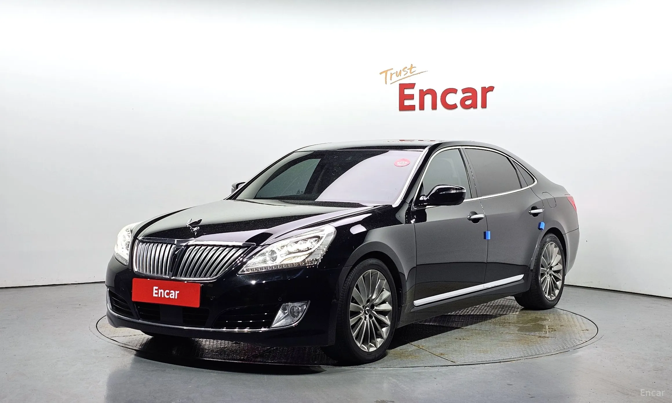 Equus (new)