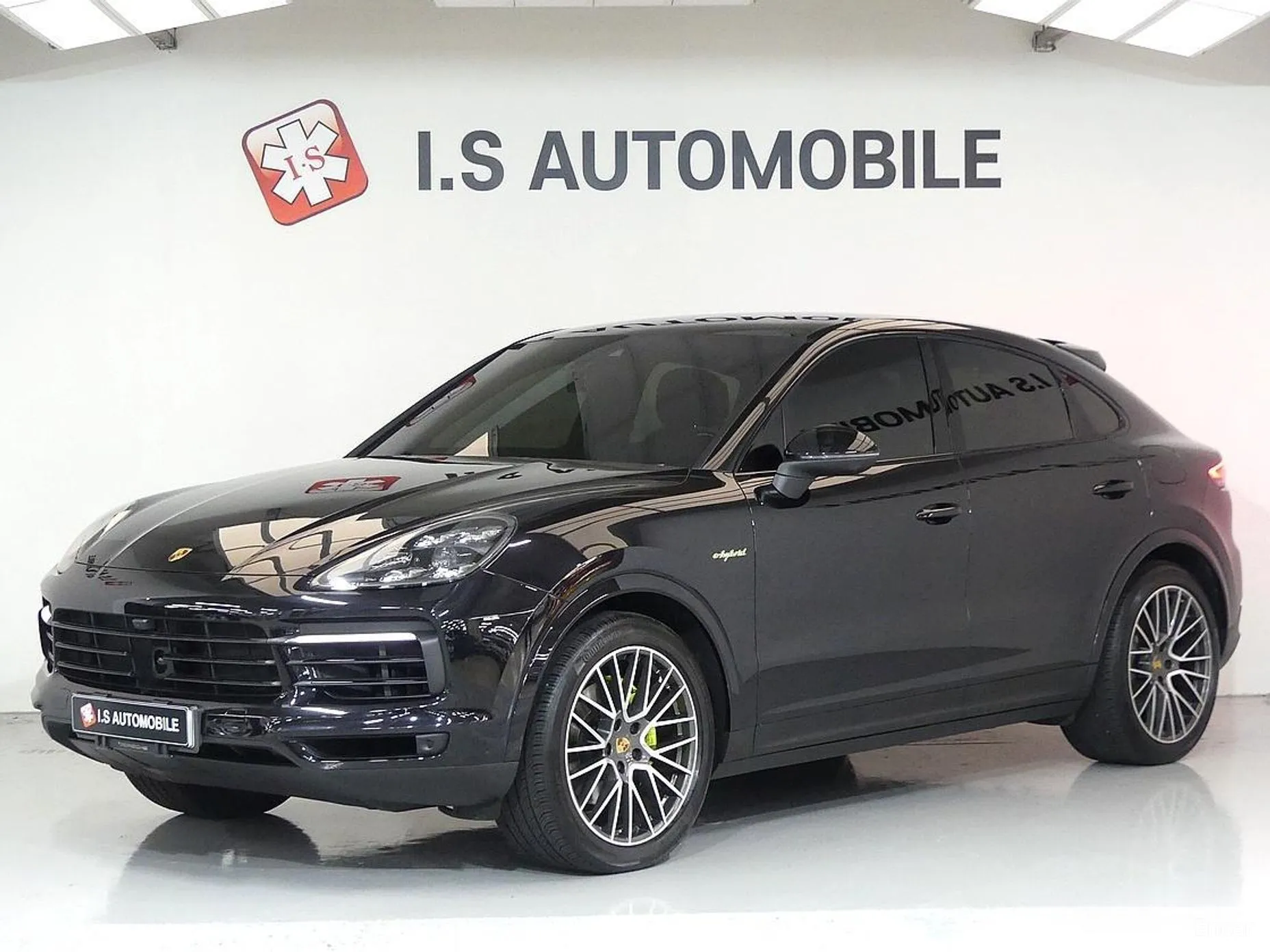 Cayenne (PO536)