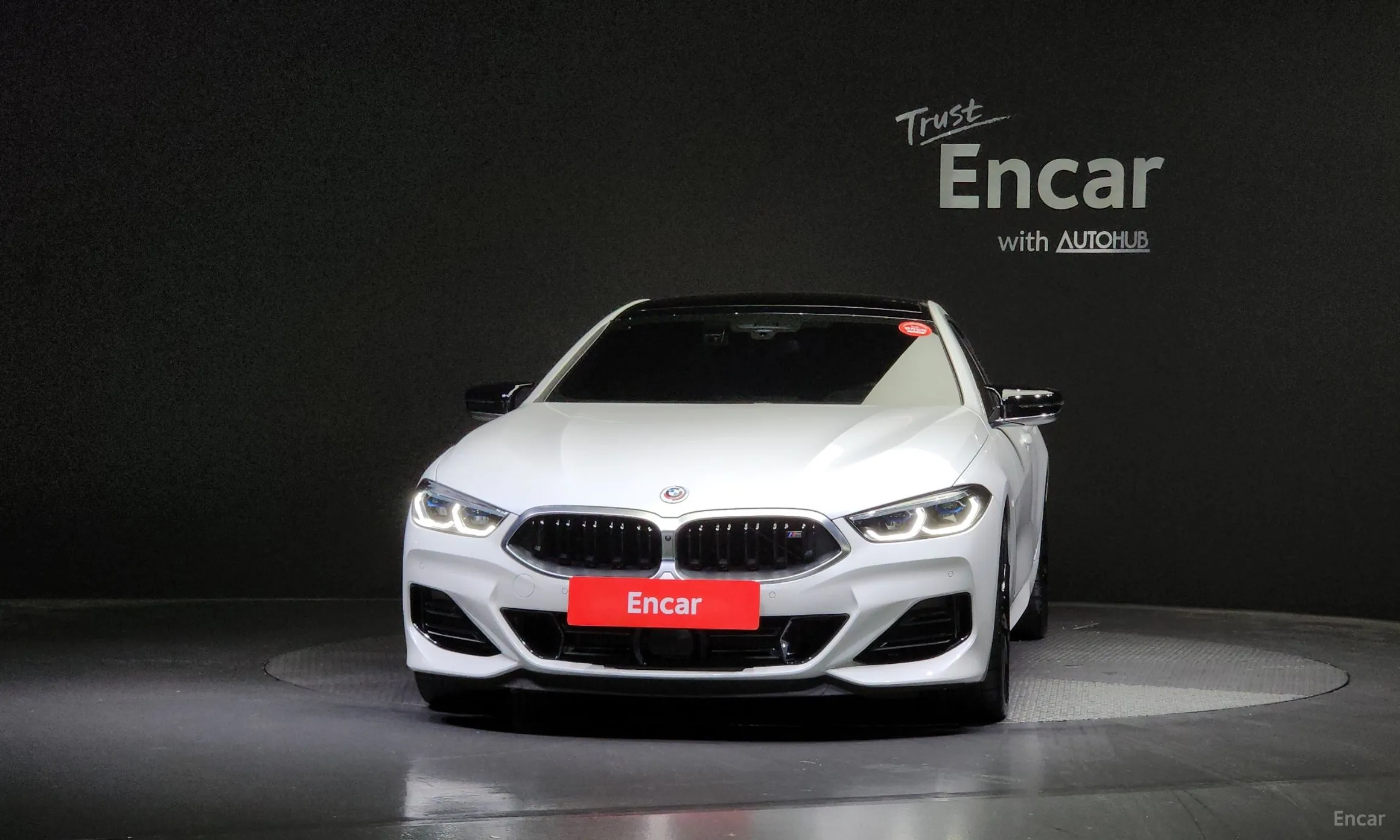BMW 8-series (G15)