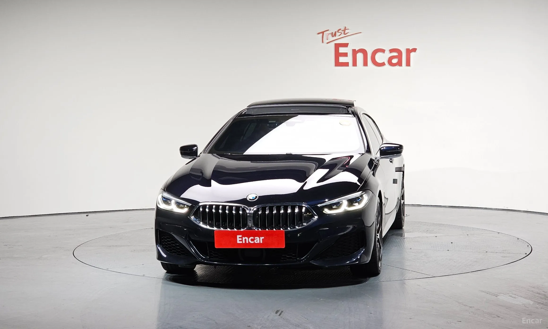 BMW 8-series (G15)