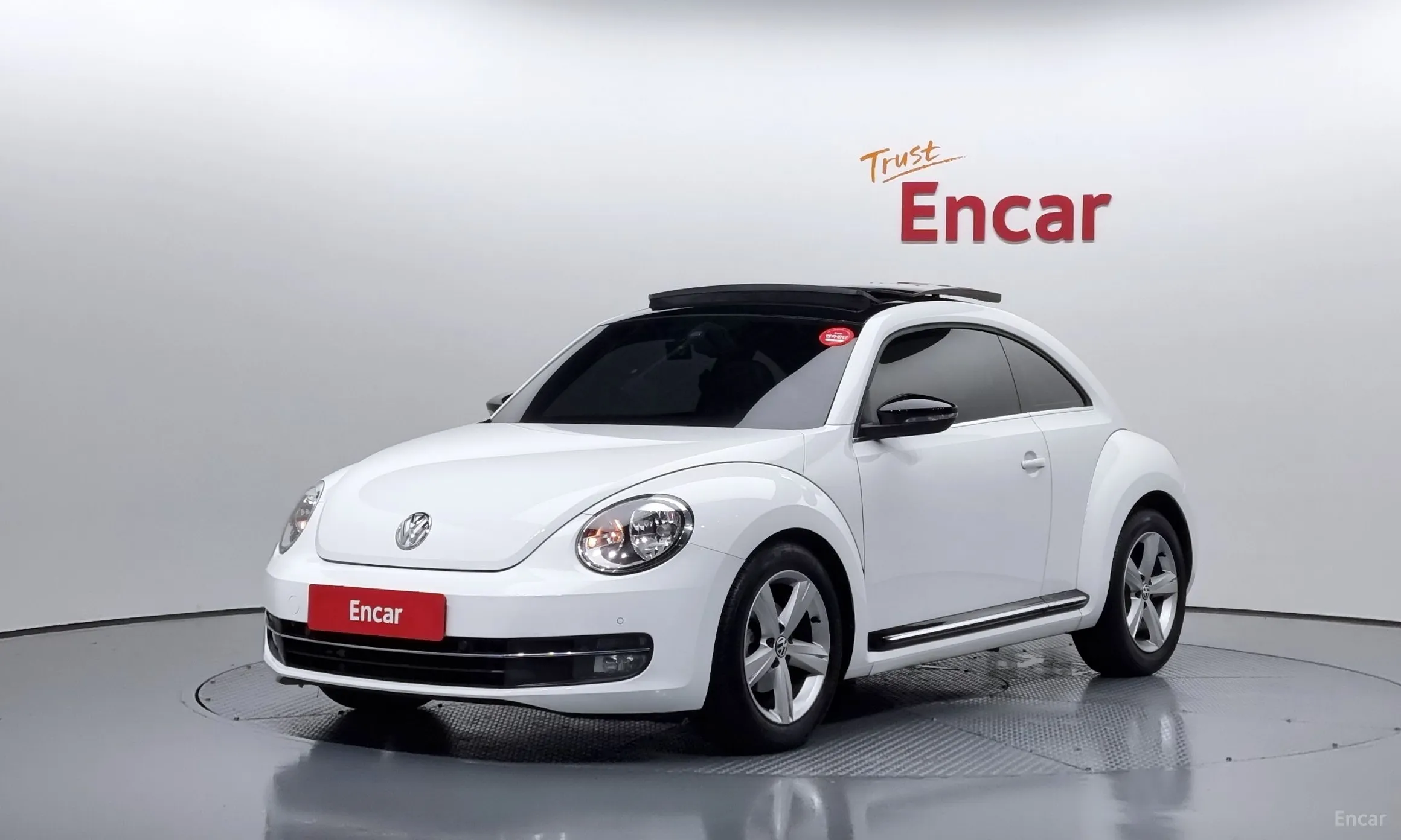 The Beetle