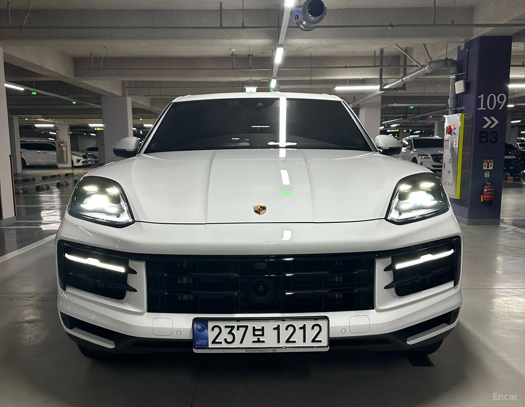 Cayenne (PO536)