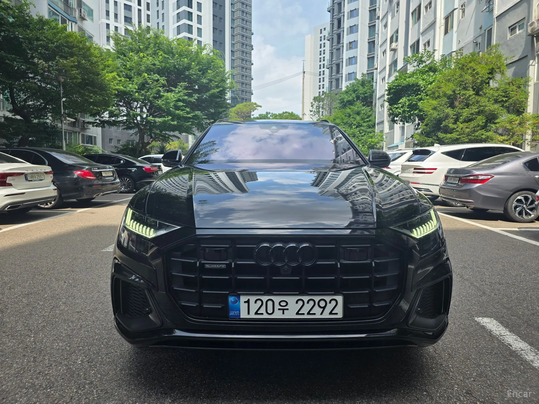 Audi Q8 (4M)