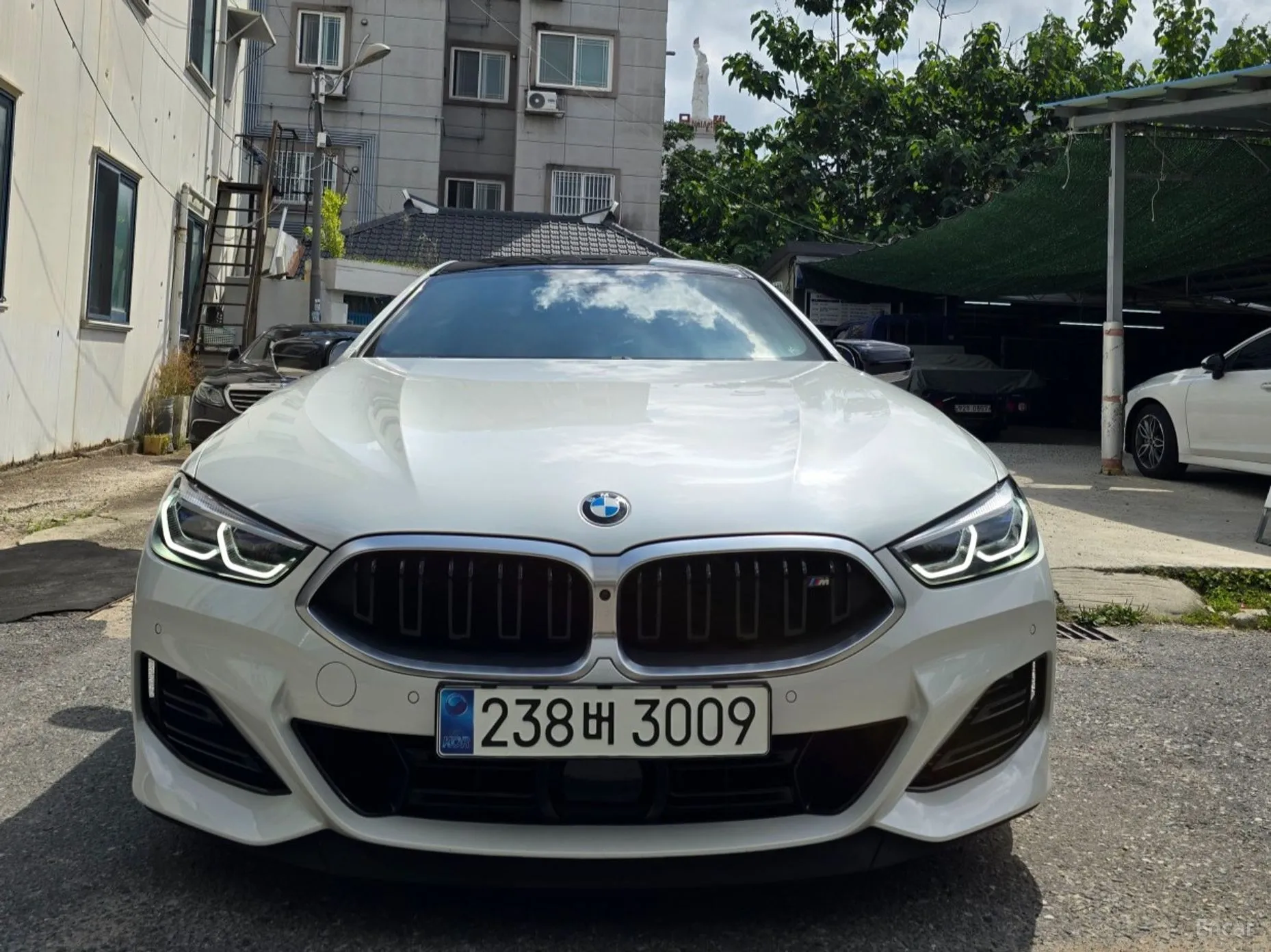 BMW 8-series (G15)