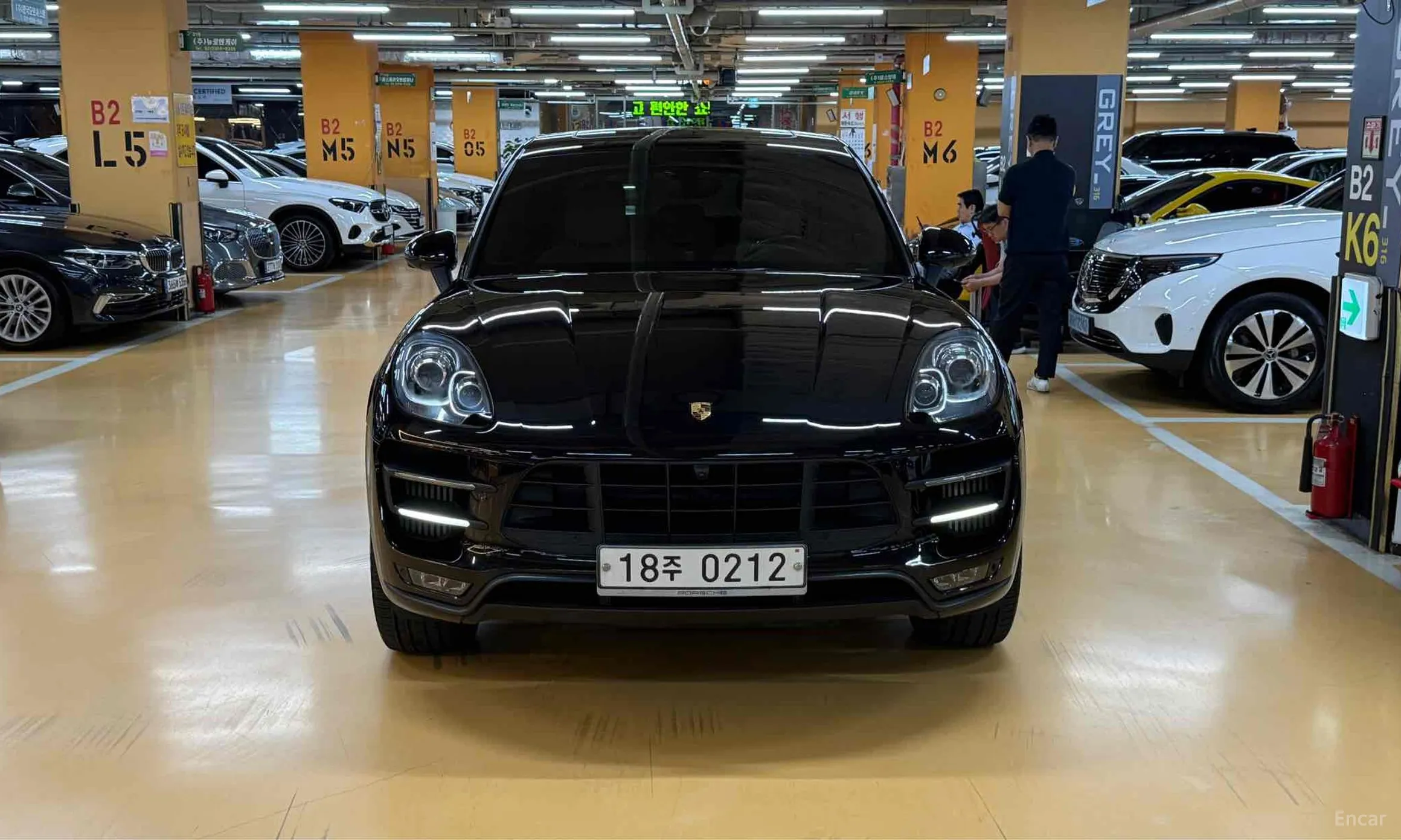 Macan