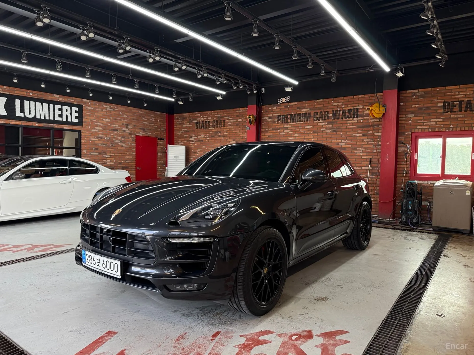 Macan