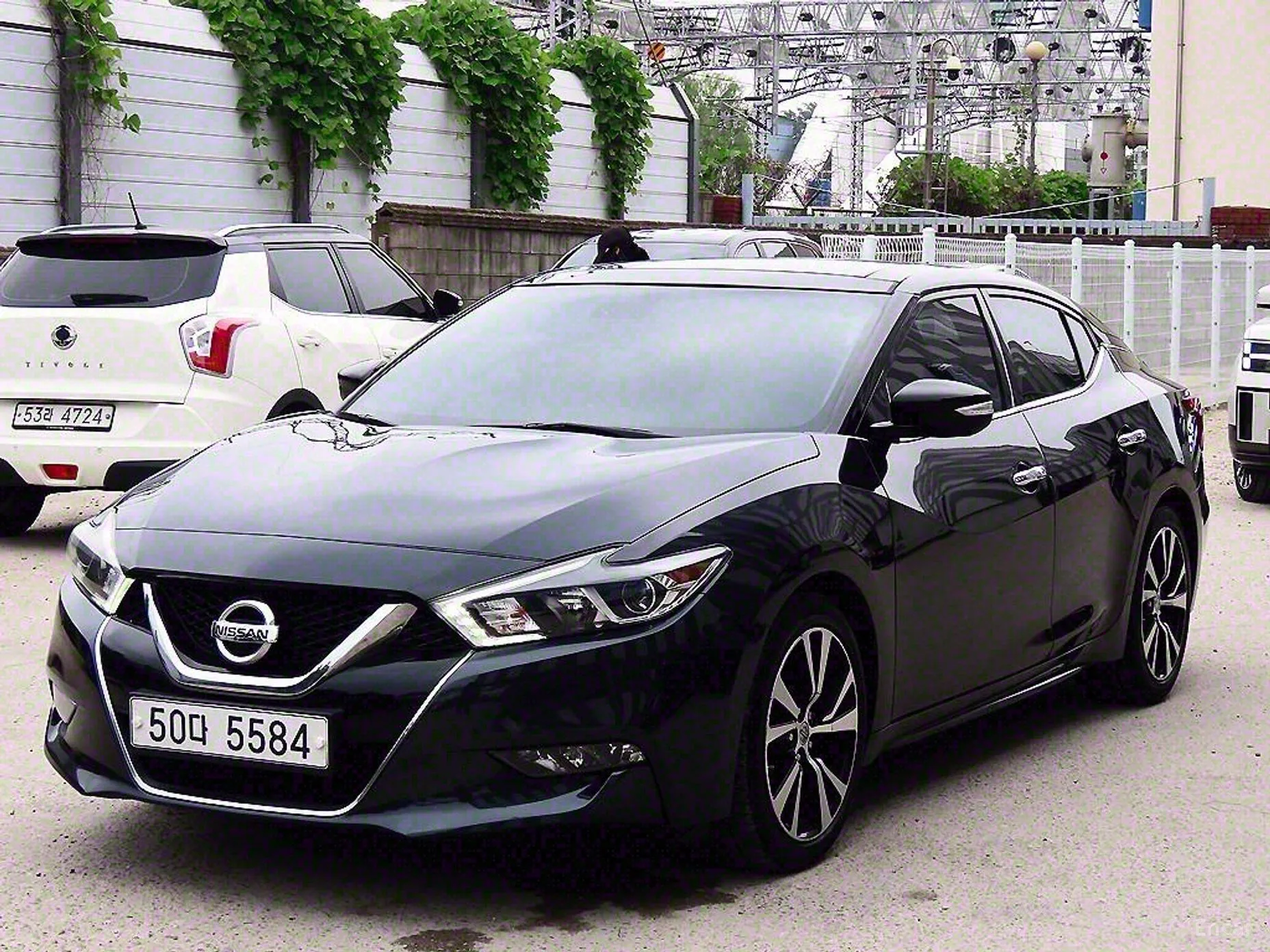 Nissan Maxima (A36)