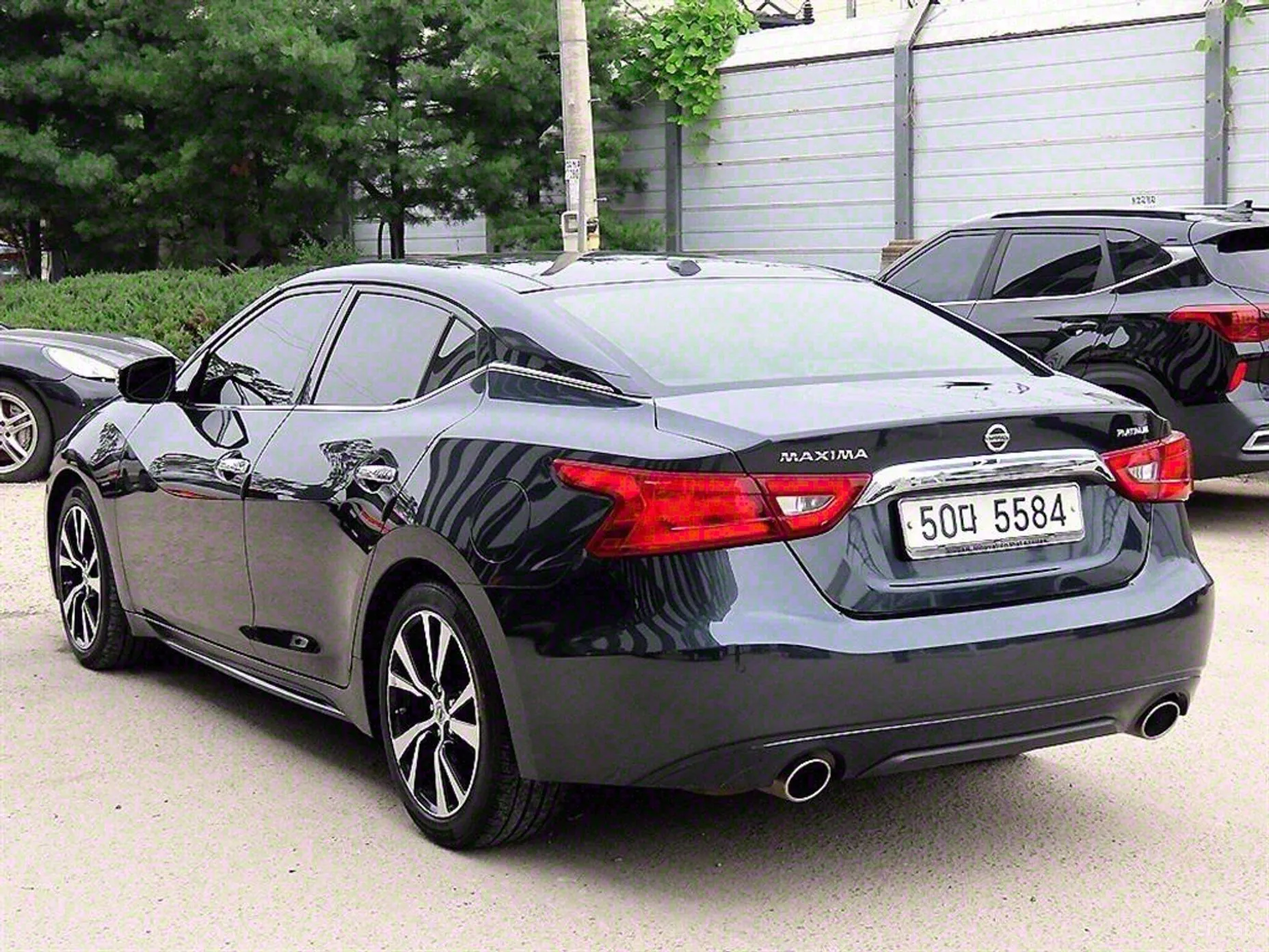 Nissan Maxima (A36) превью 3