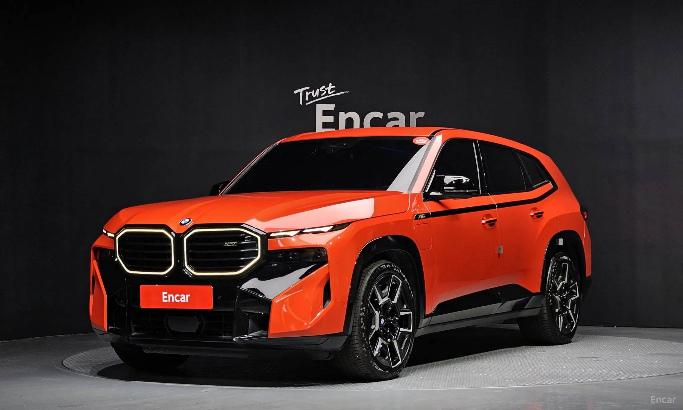 BMW XM (G09)