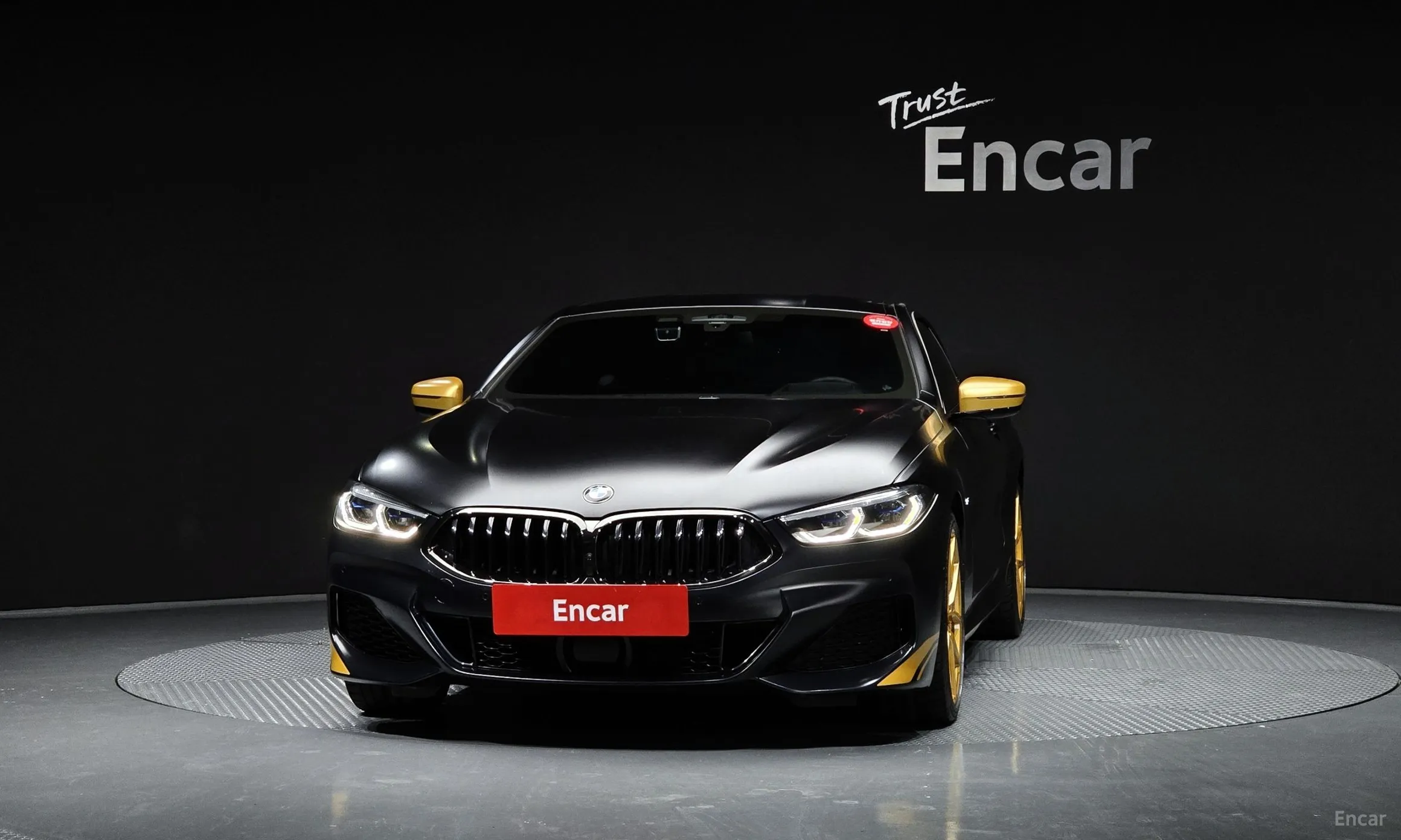 BMW 8-series (G15)