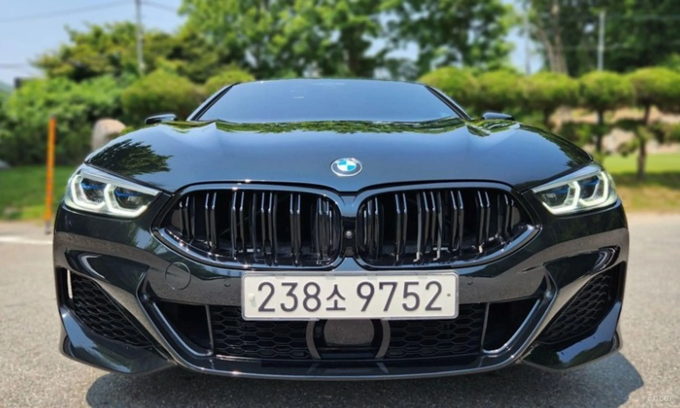 BMW 8-series (G15)