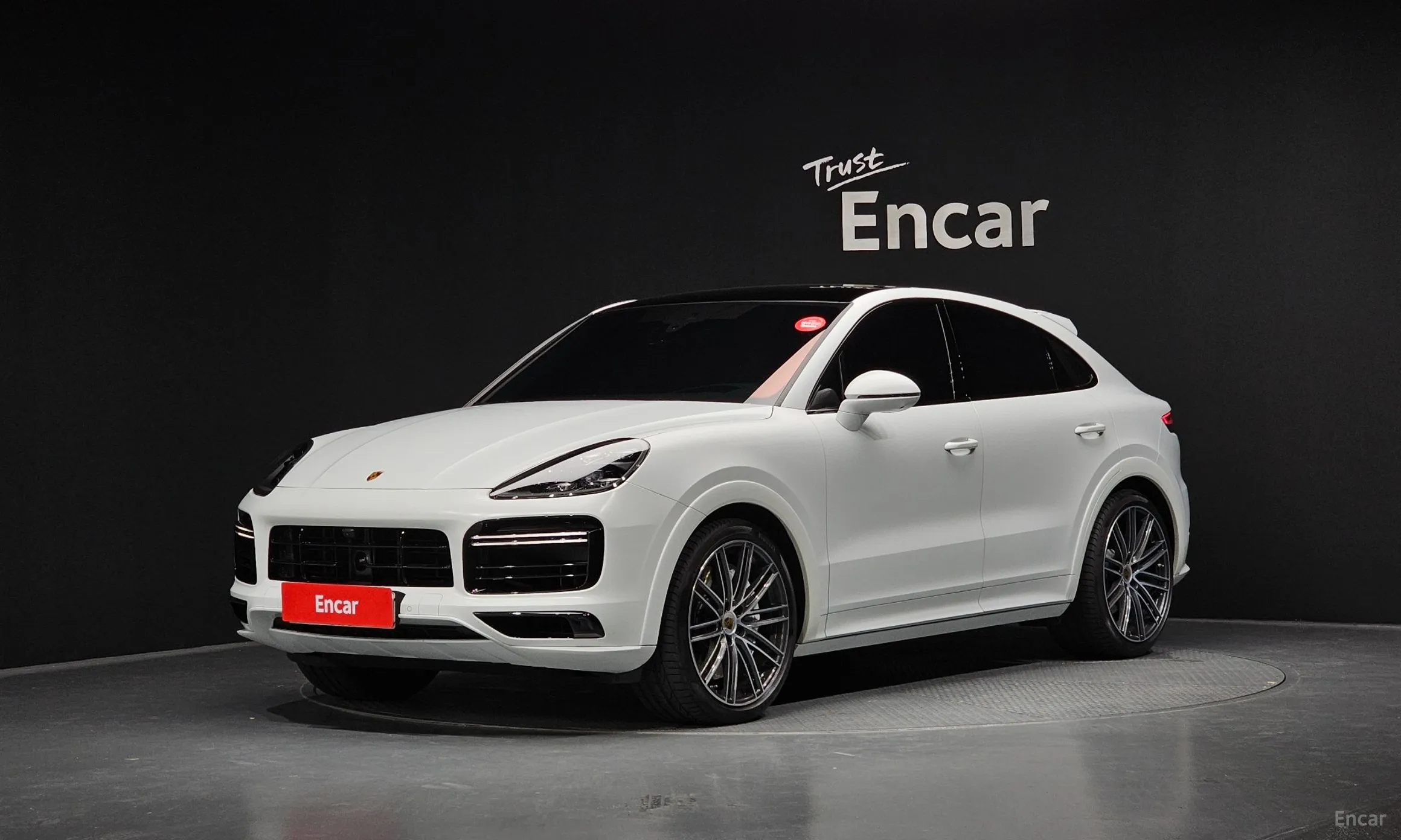 Cayenne (PO536)