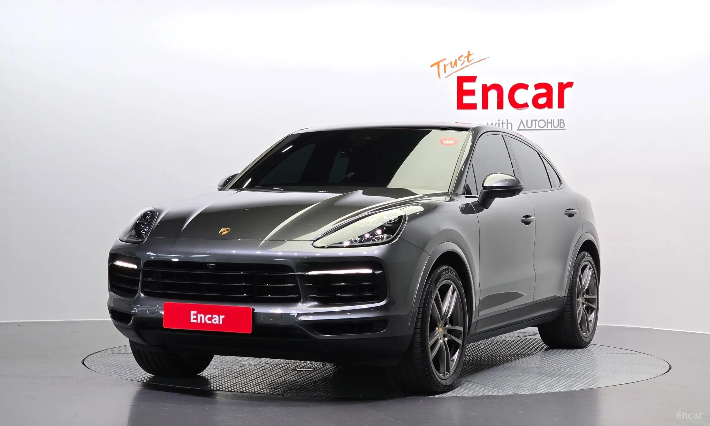 Cayenne (PO536)