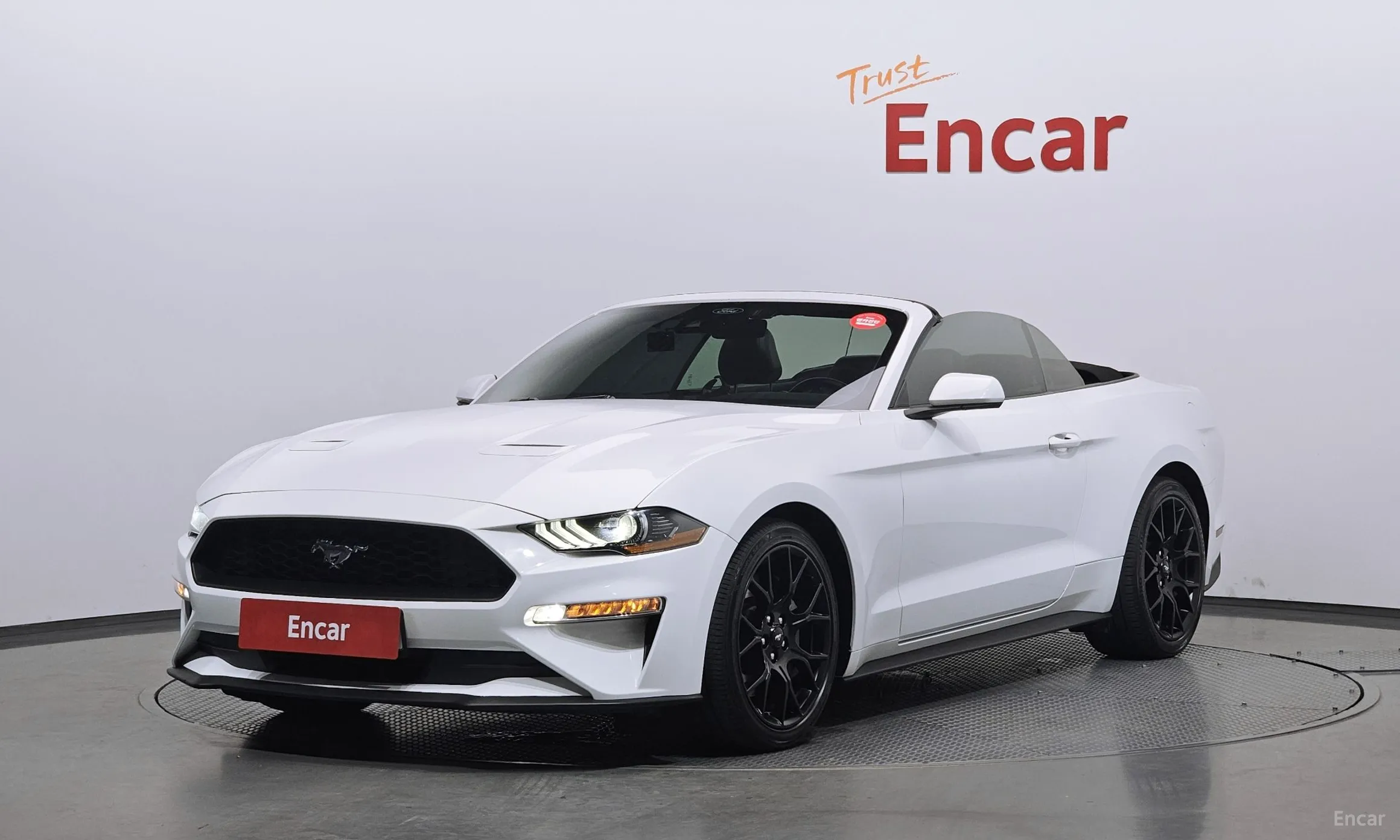 Mustang