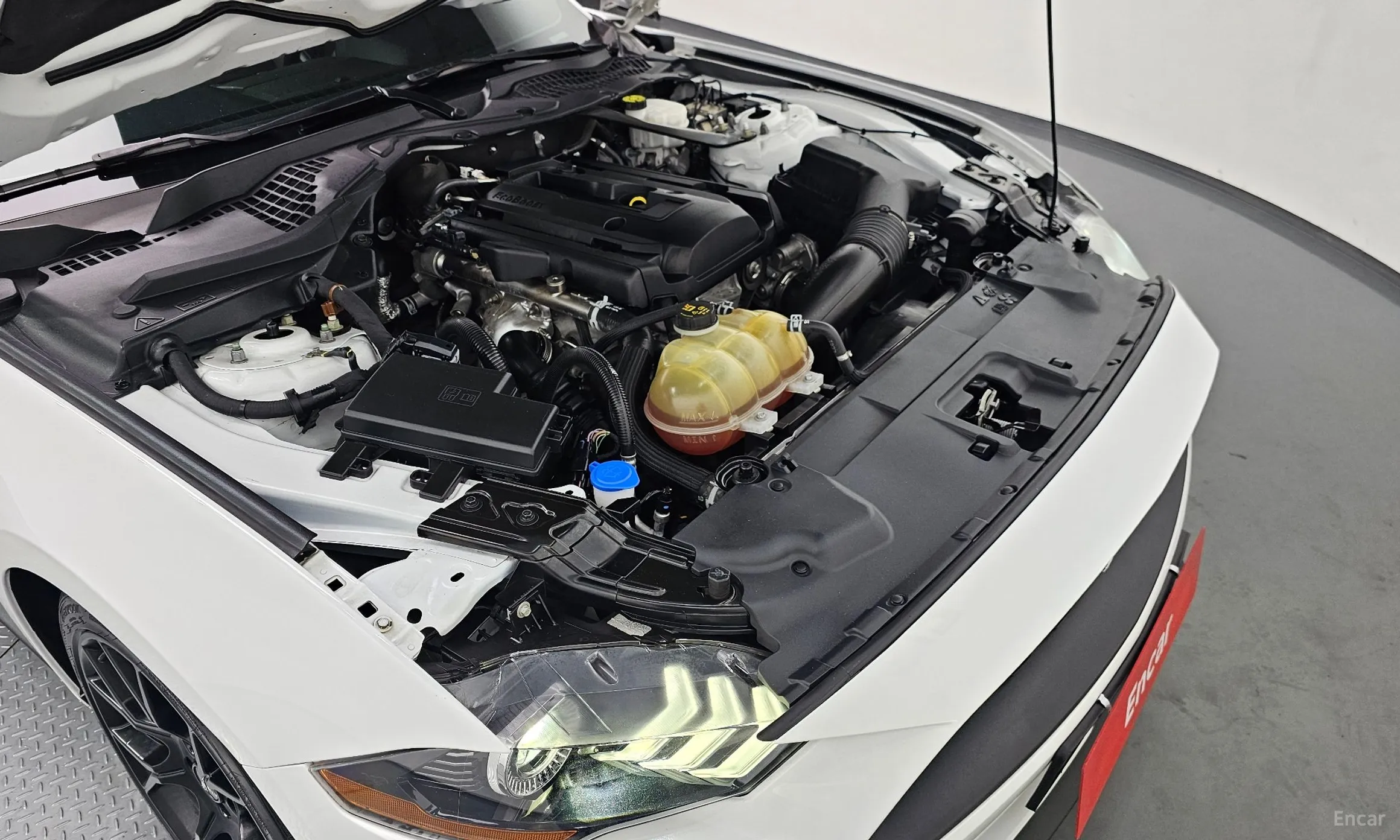 Ford Mustang превью 6