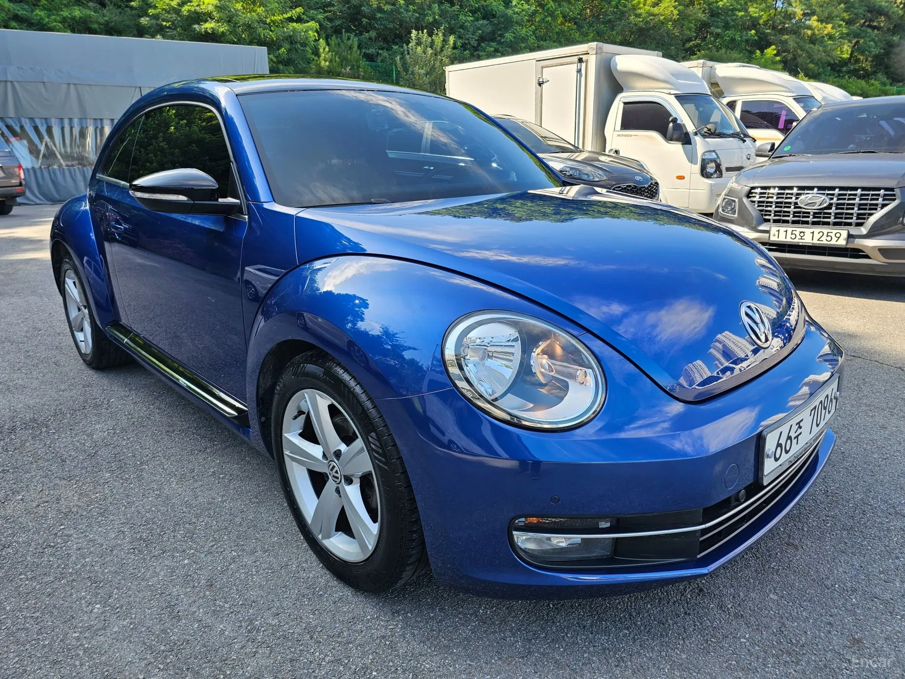 Volkswagen The Beetle
