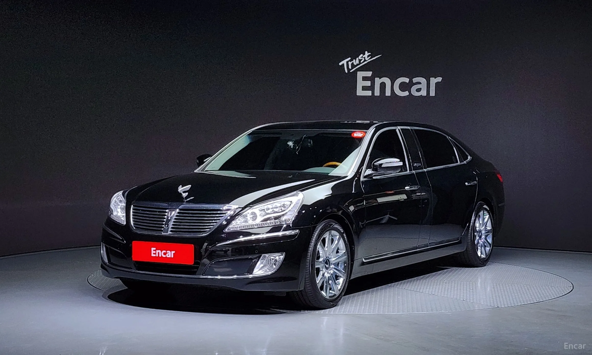Equus (new)
