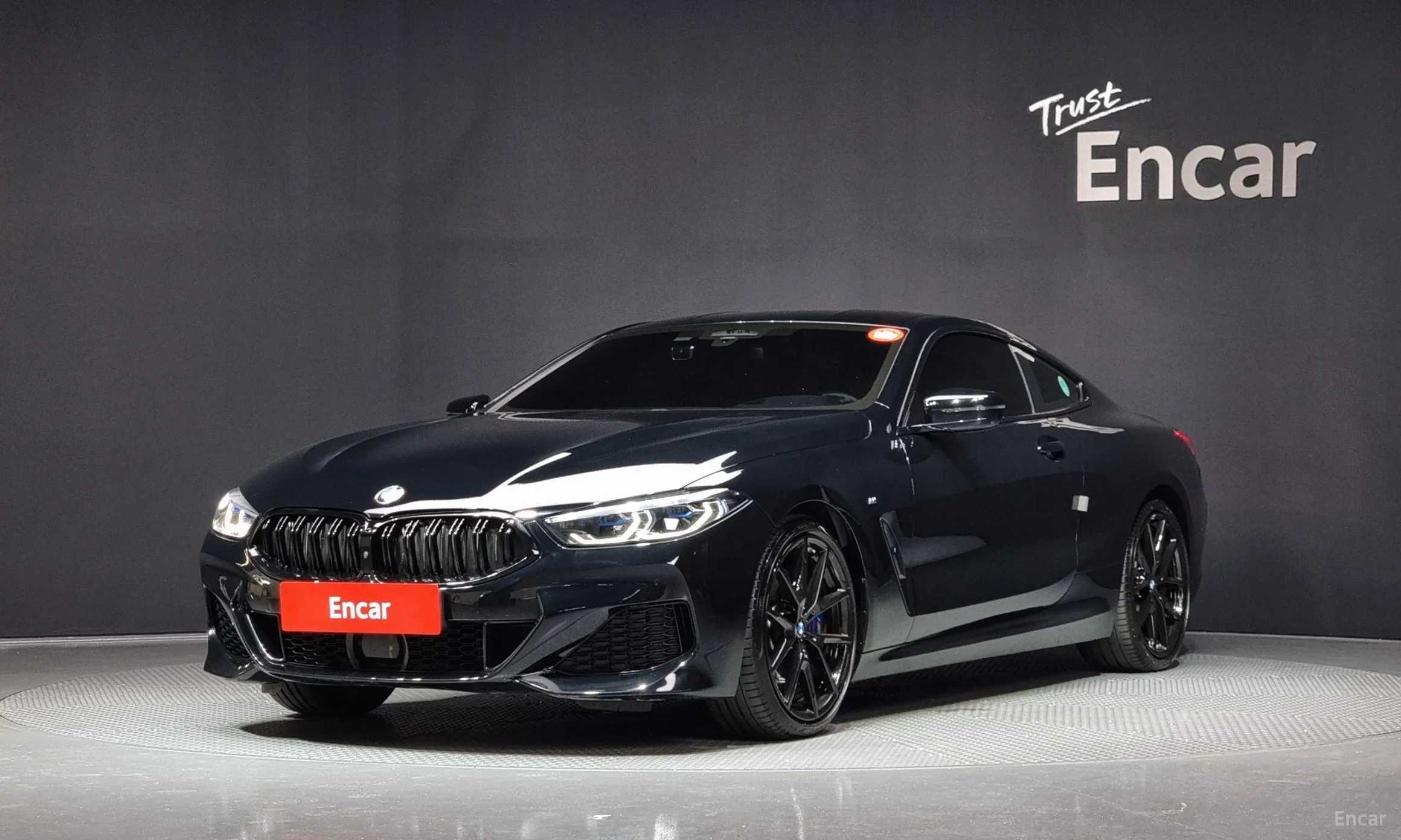 BMW 8-series (G15)