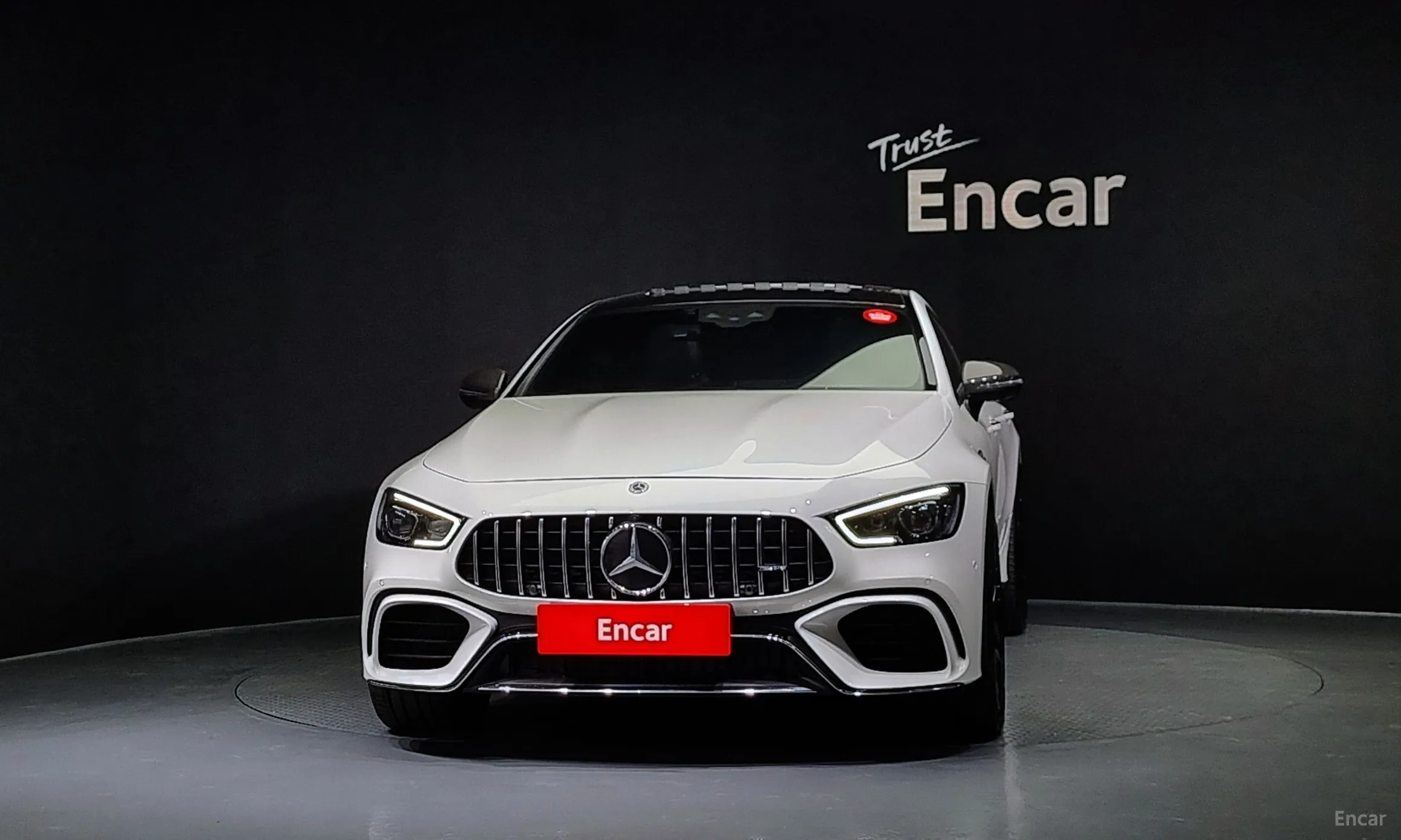 Mercedes Benz AMG GT превью 2