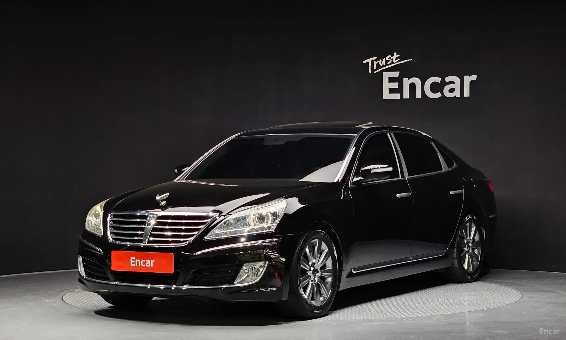 Equus (new)