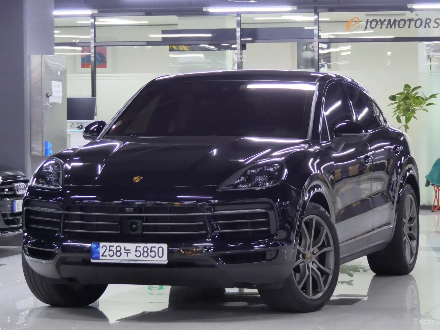 Cayenne (PO536)