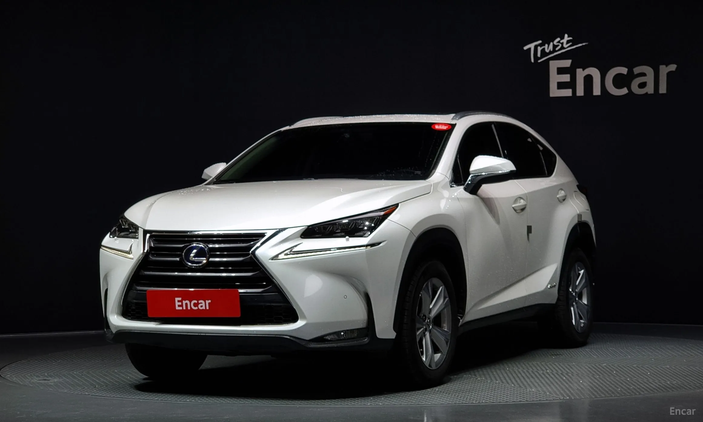 Lexus NX300h