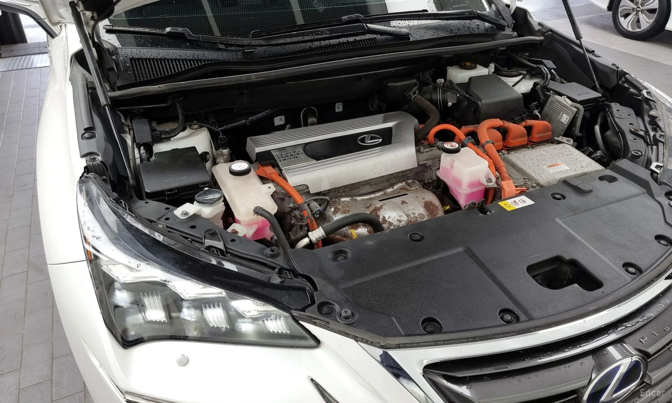 Lexus NX300h превью 6