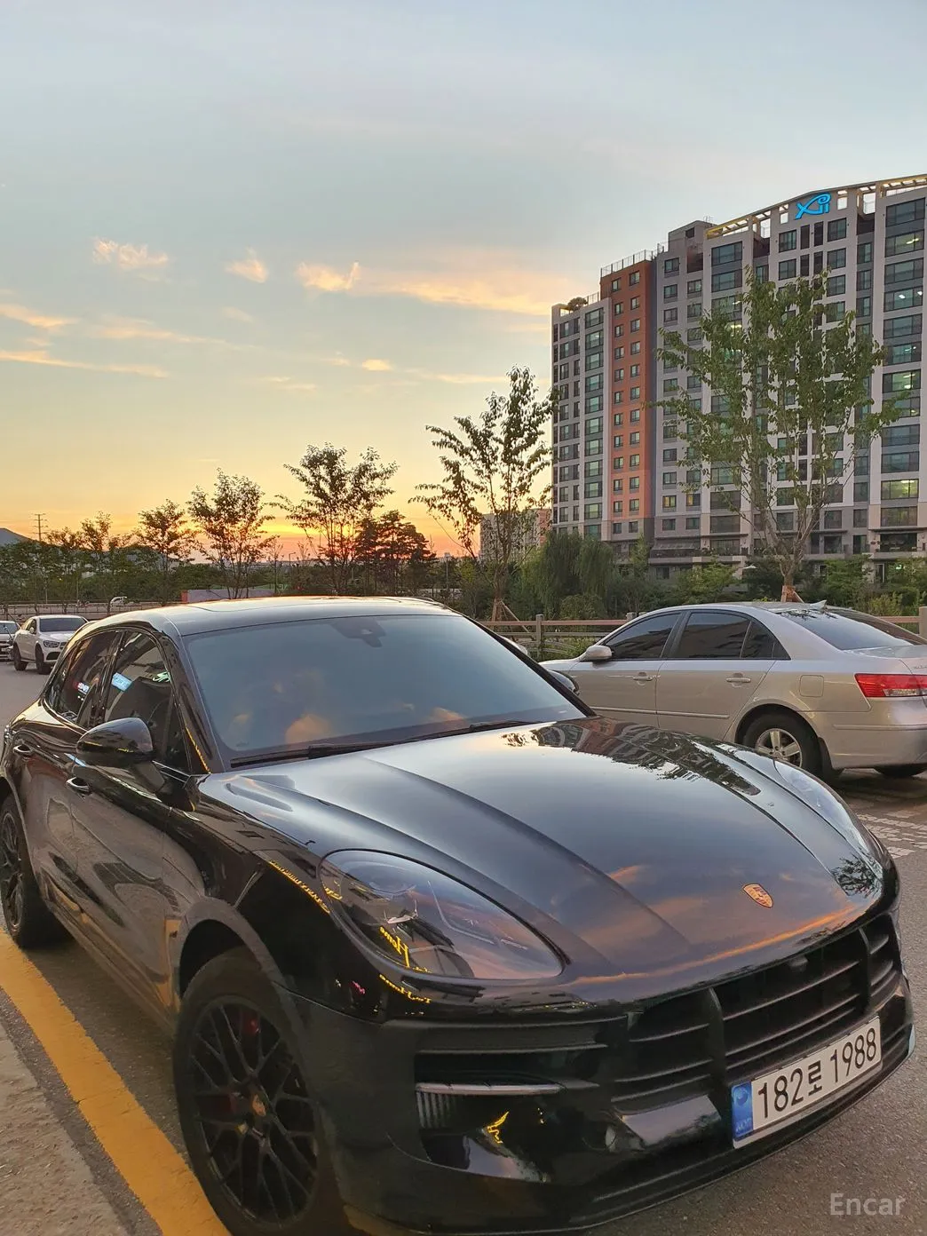 Macan