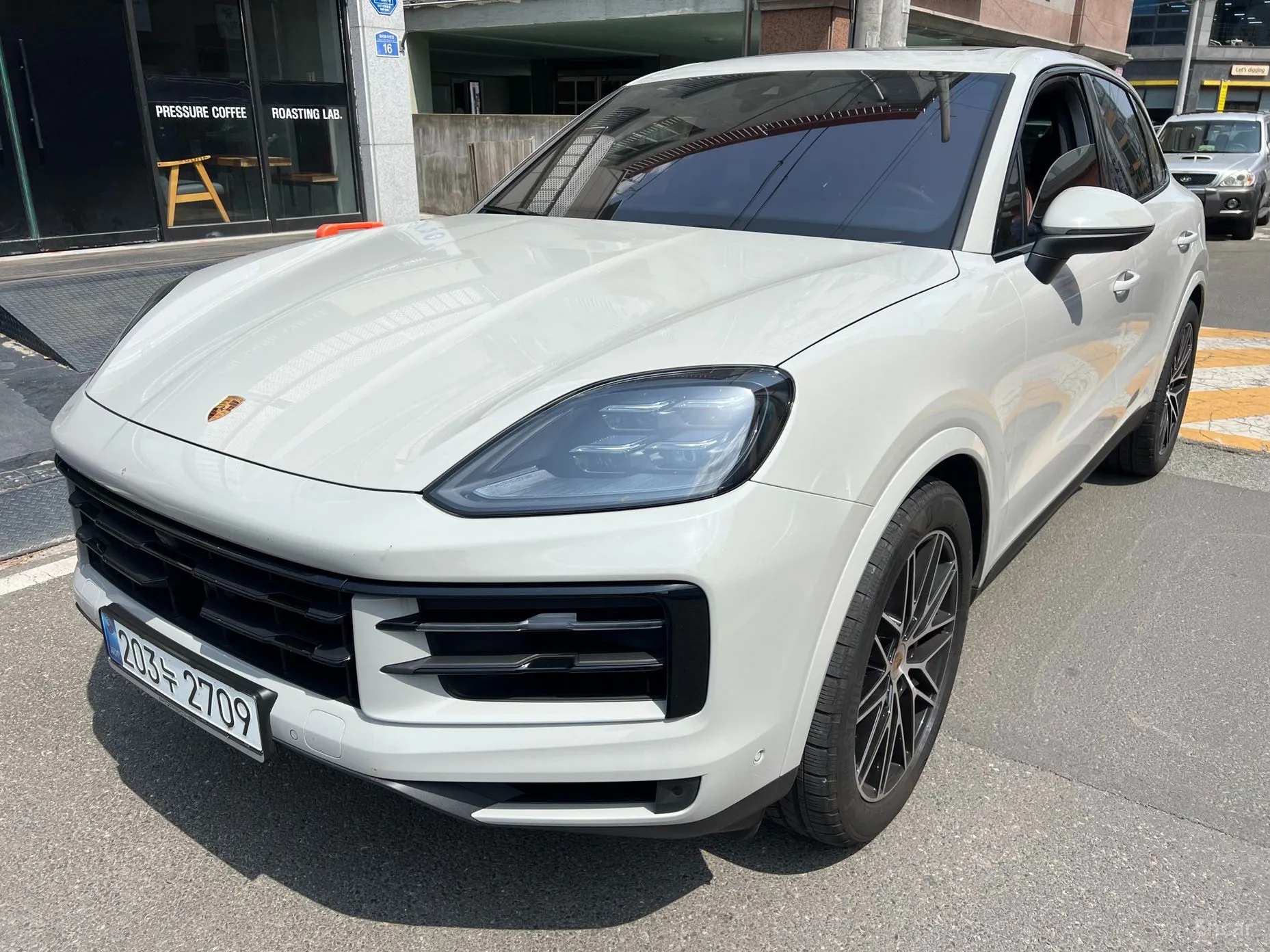 Cayenne (PO536)