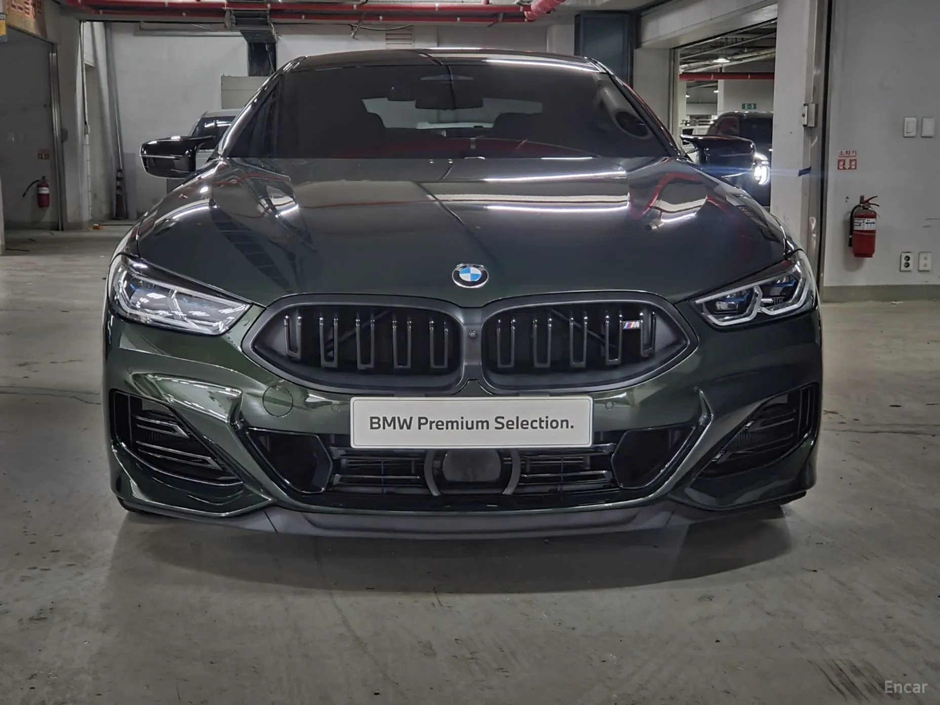 BMW 8-series (G15)