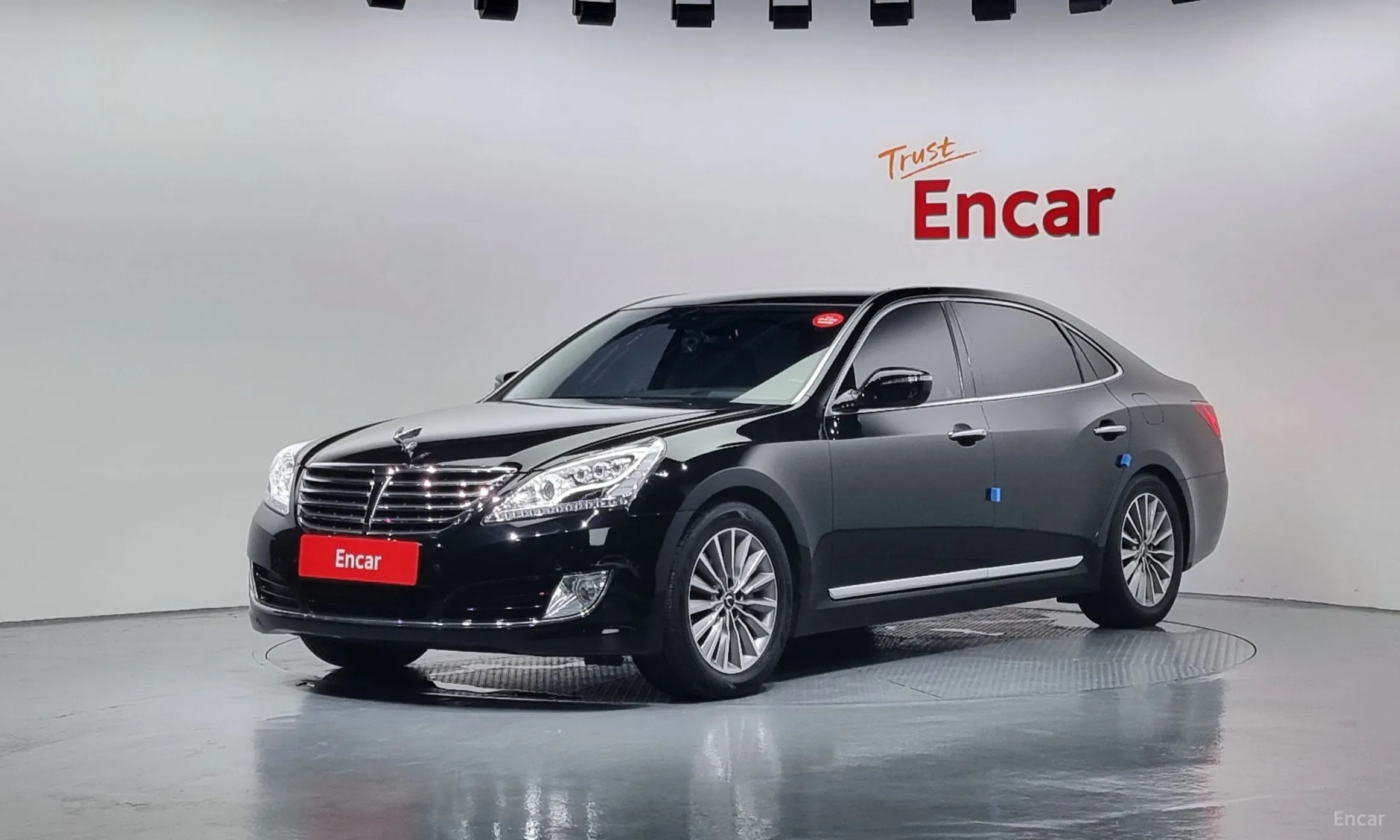 Equus (new)