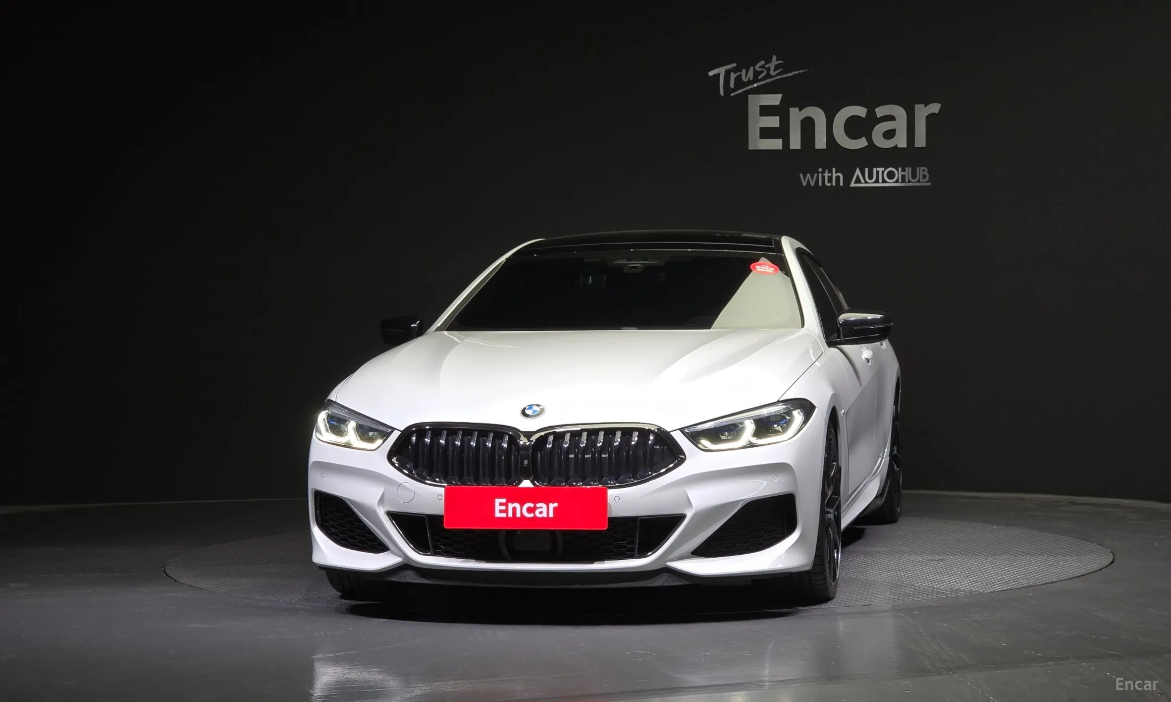 BMW 8-series (G15)