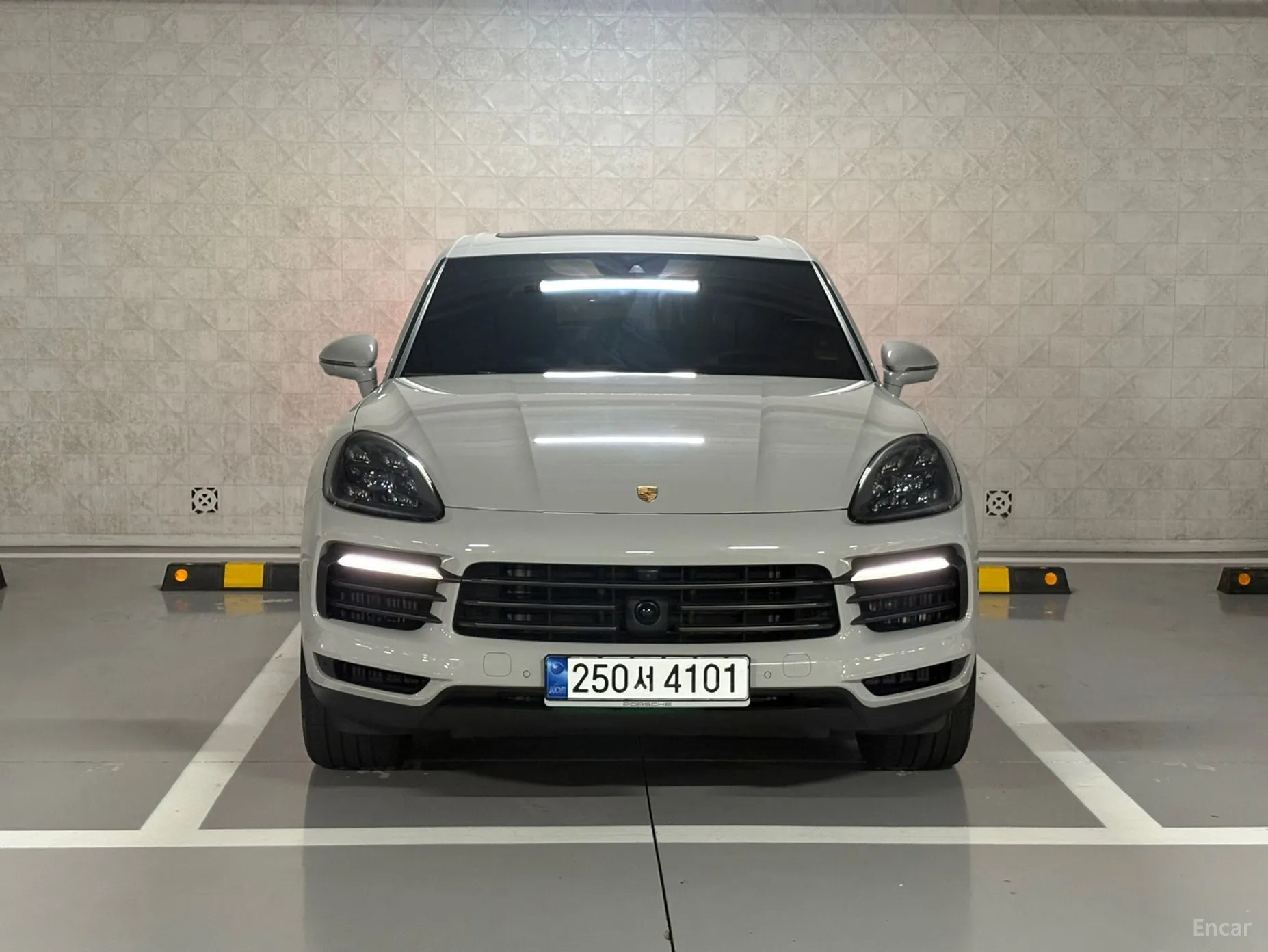 Cayenne (PO536)
