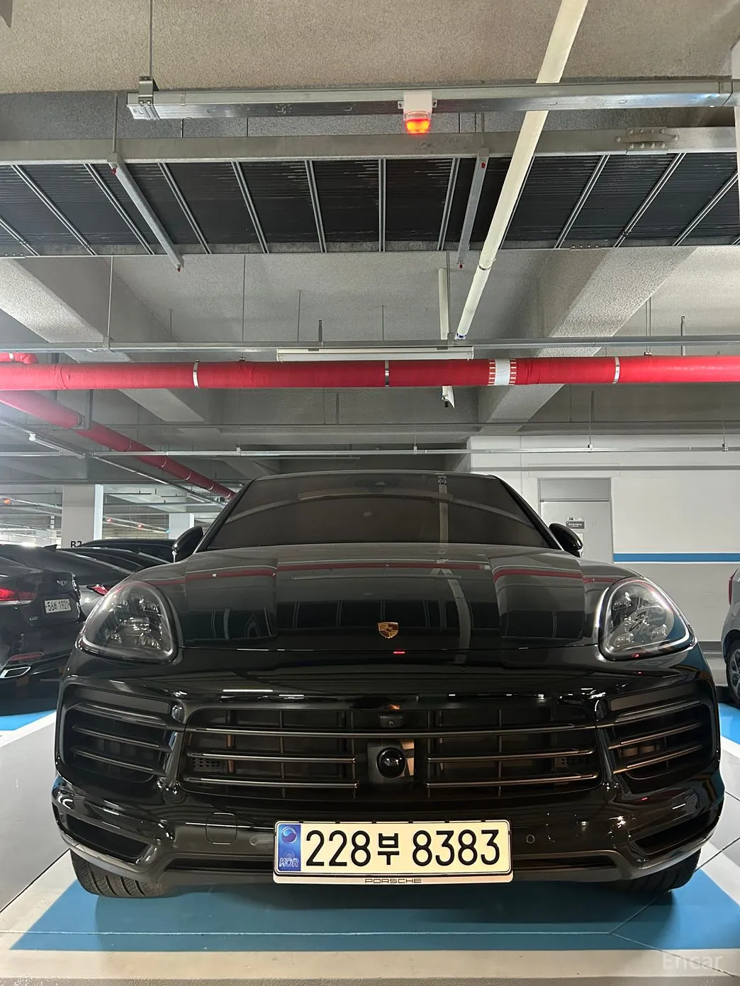 Cayenne (PO536)