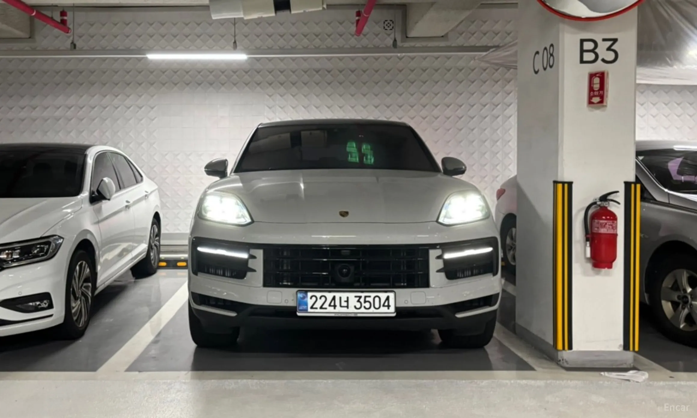 Cayenne (PO536)
