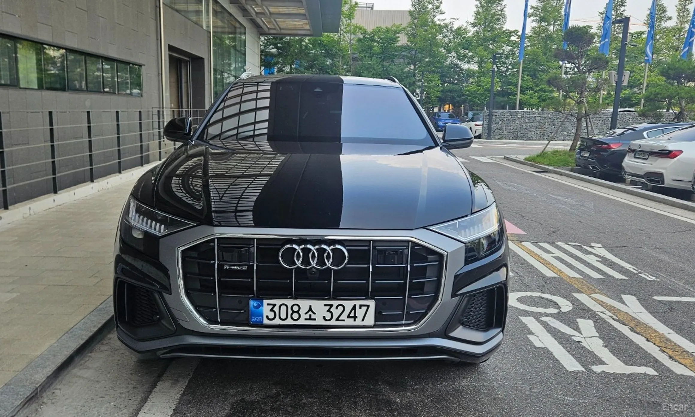 Audi Q8 (4M) превью 2
