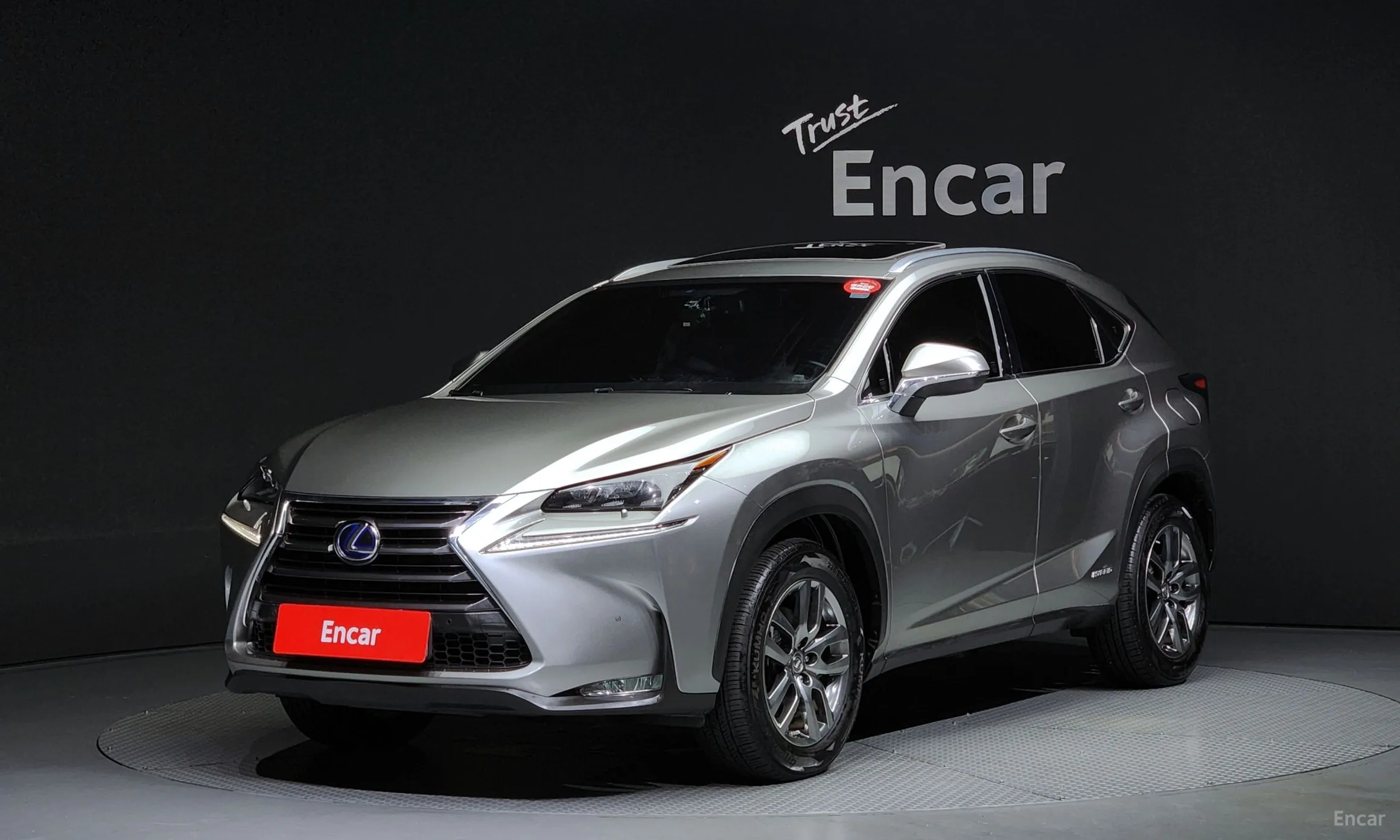 NX300h