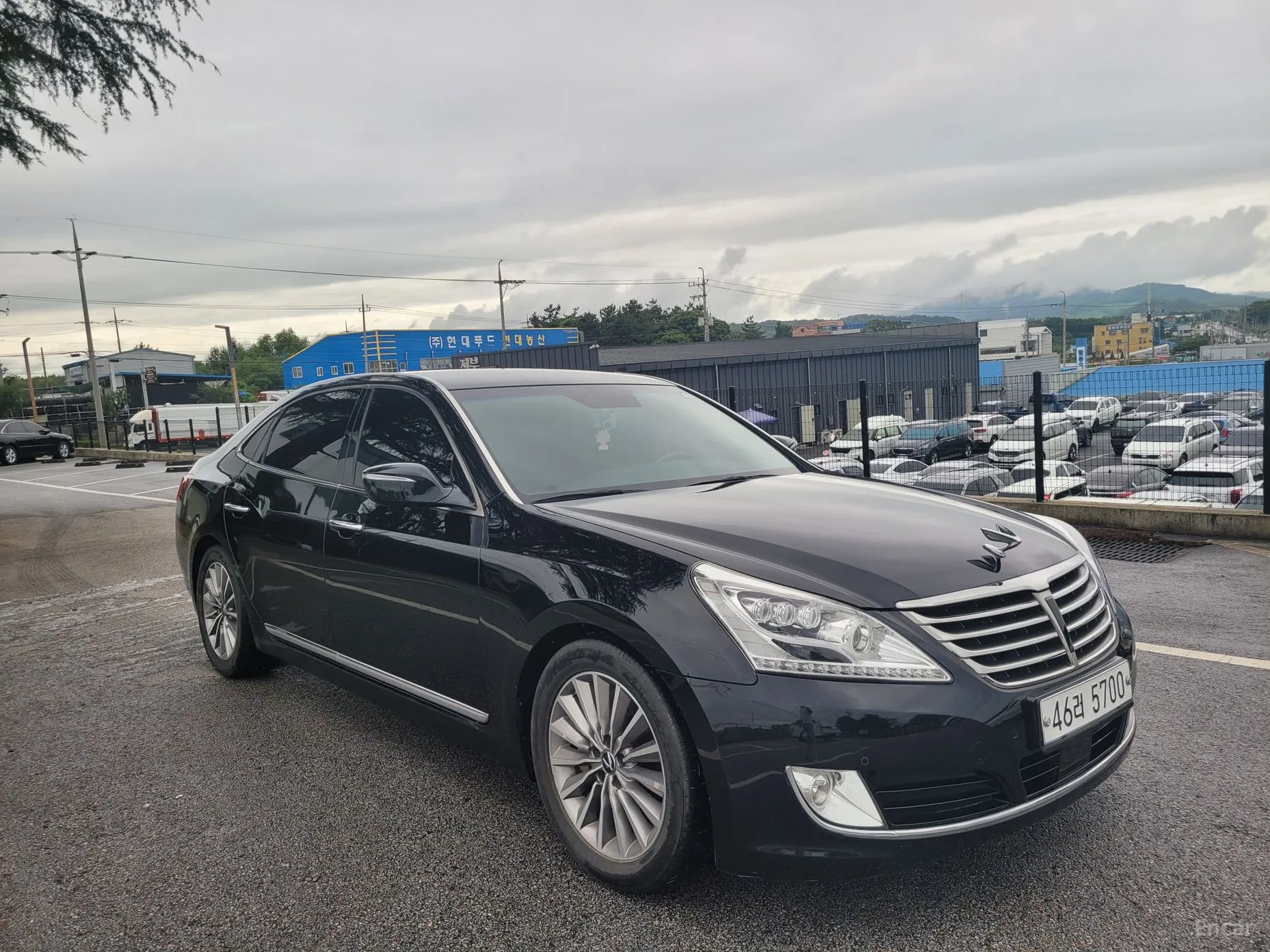 Hyundai Equus (new)