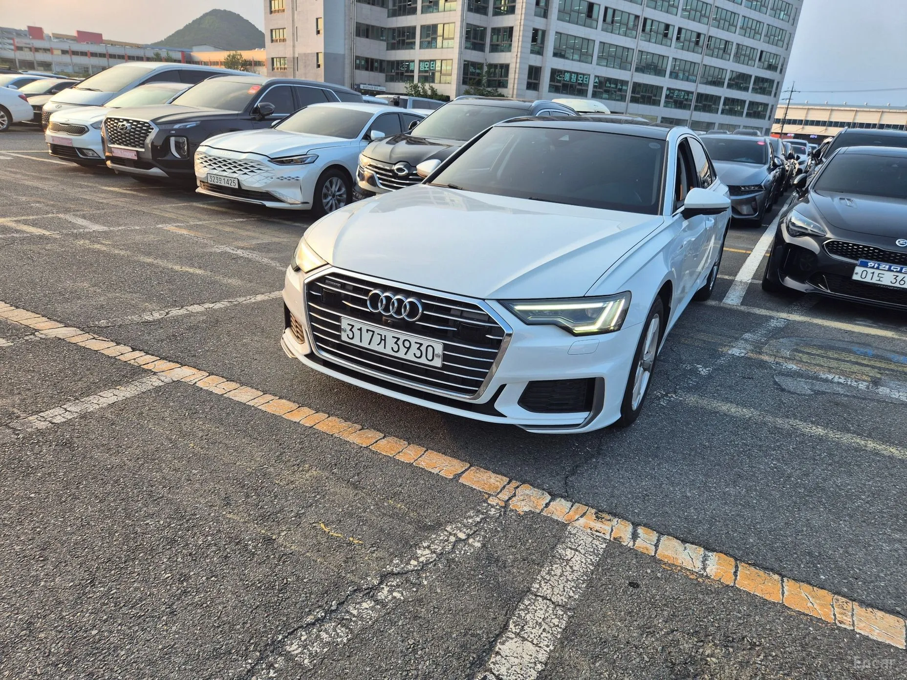 A6 (C8)