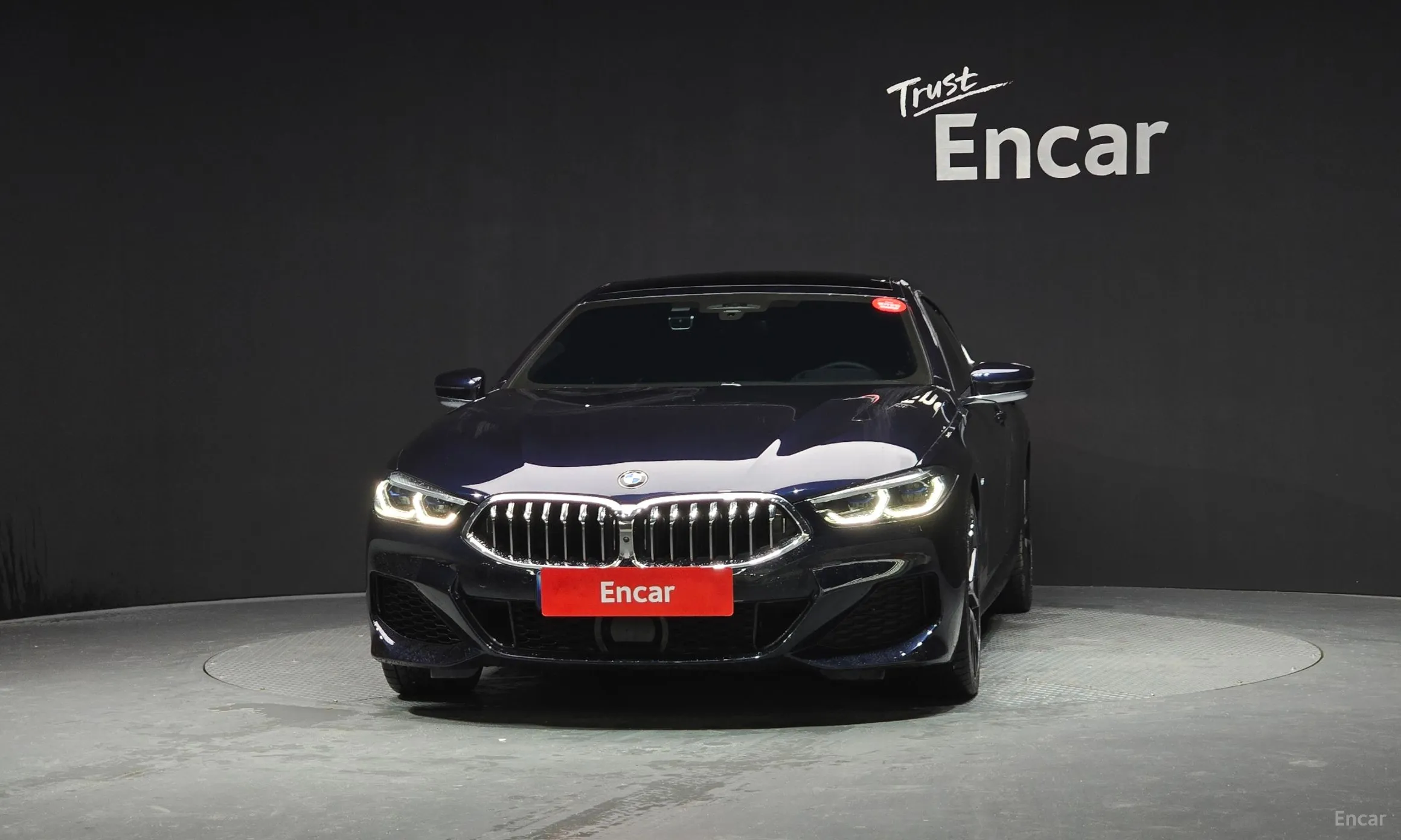 BMW 8-series (G15)