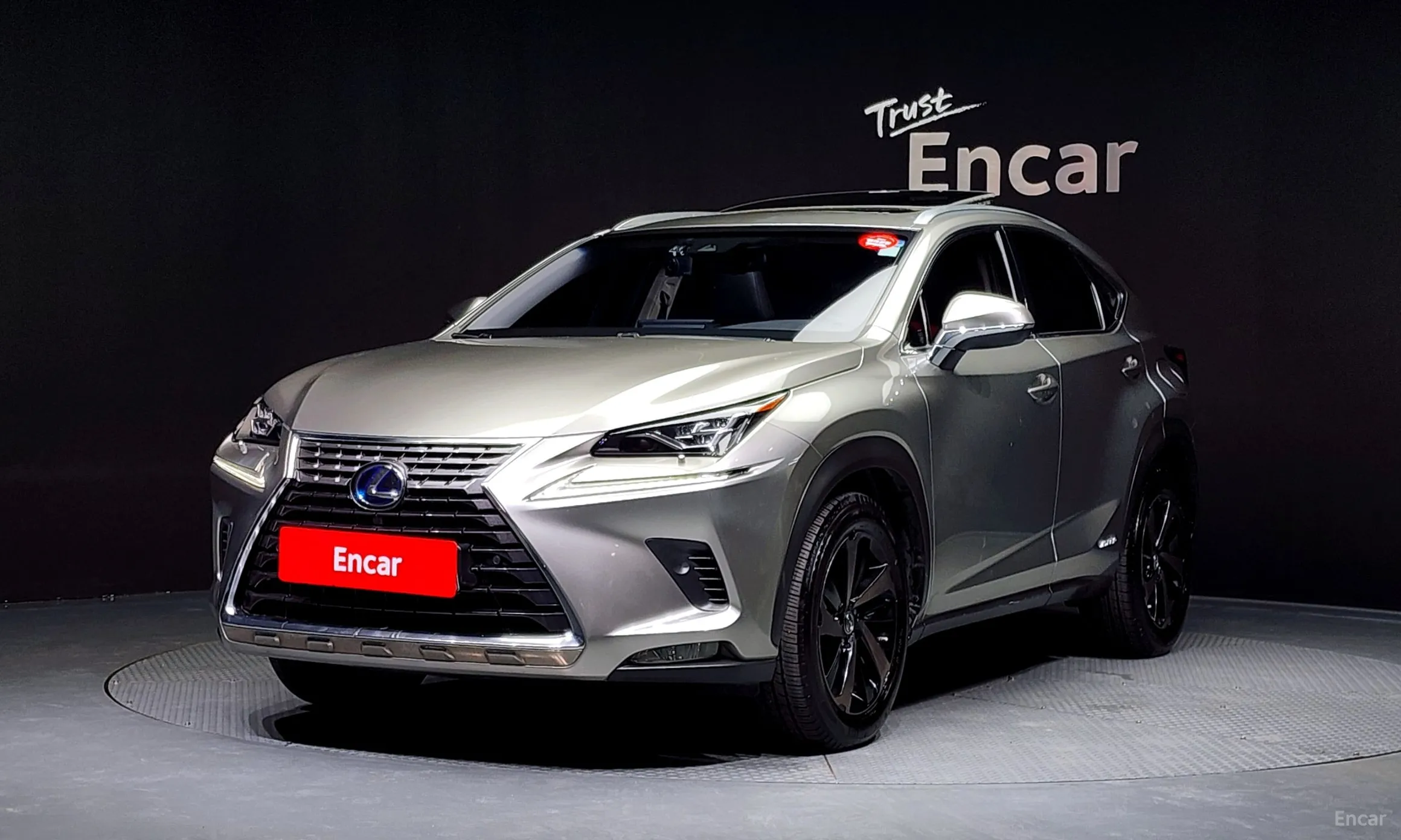 Lexus NX300h