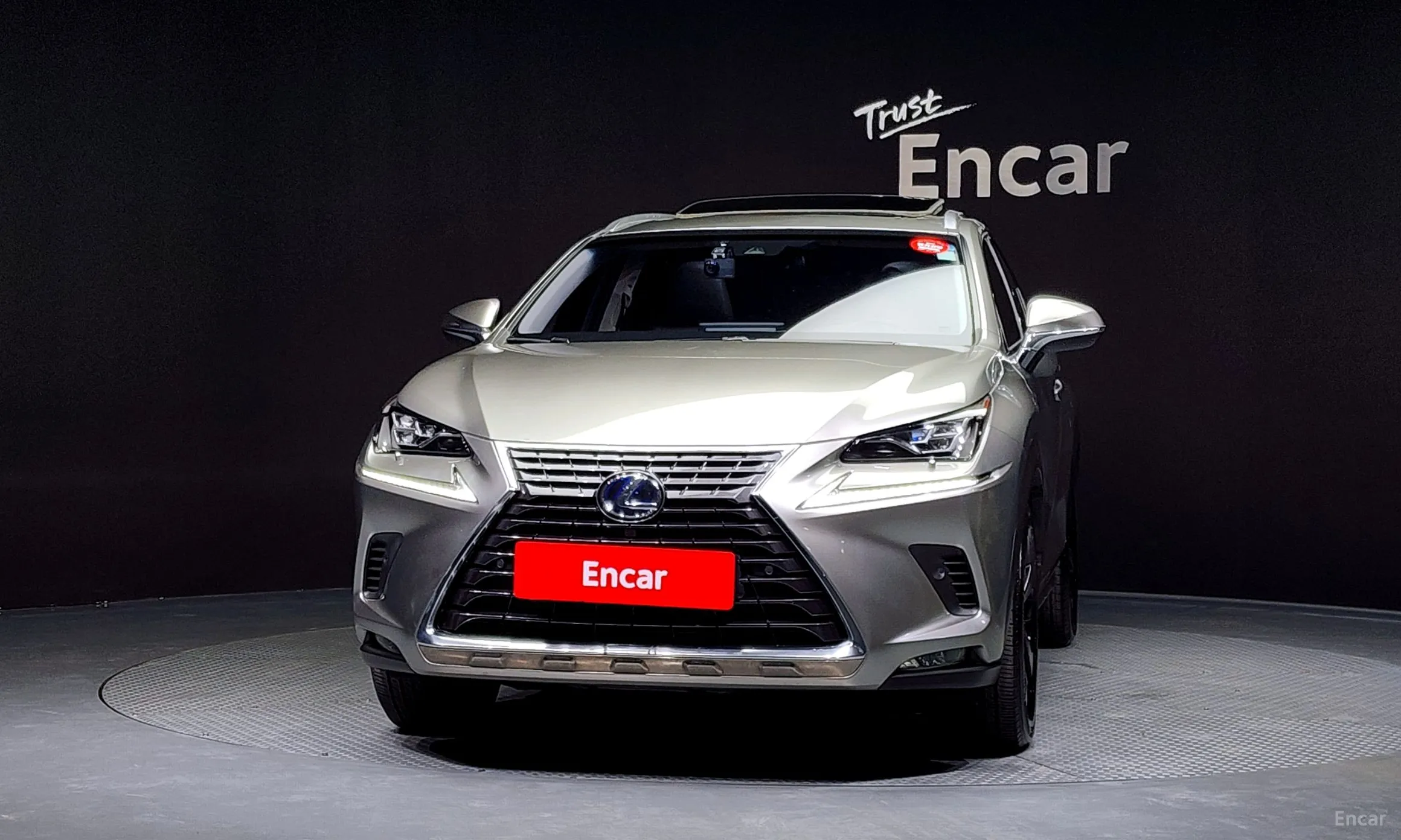 Lexus NX300h превью 3