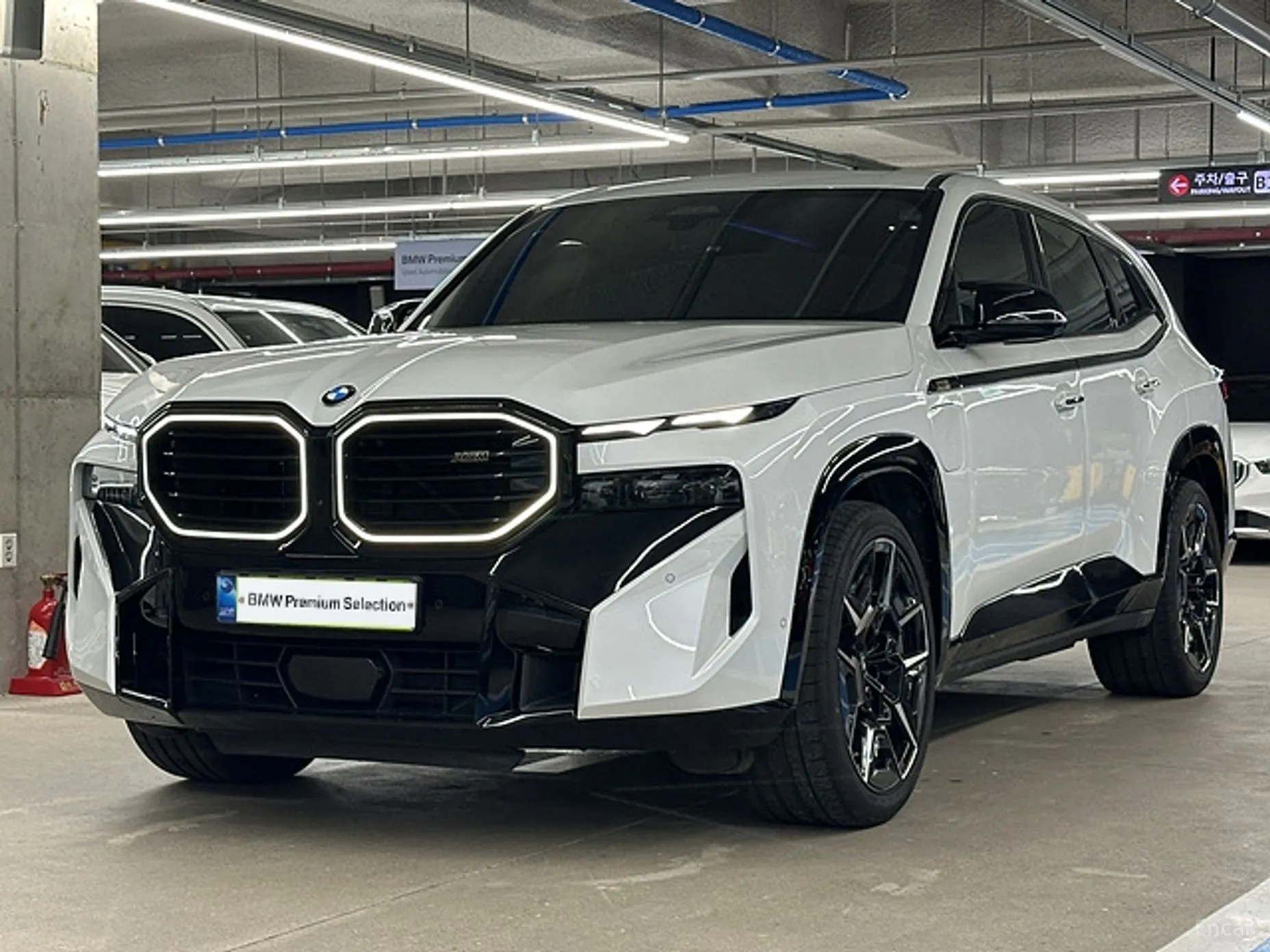 BMW XM (G09)