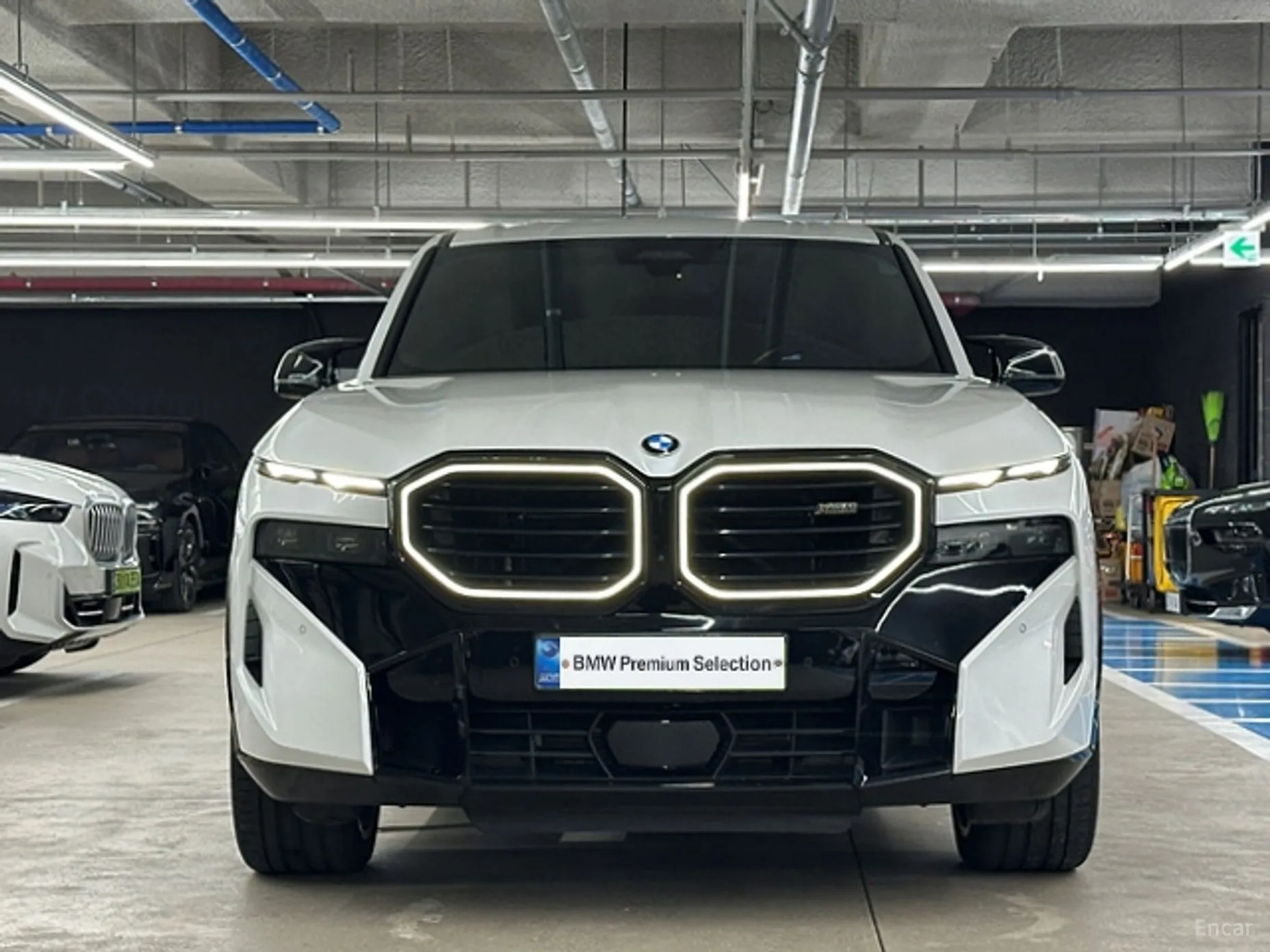 BMW XM (G09)
