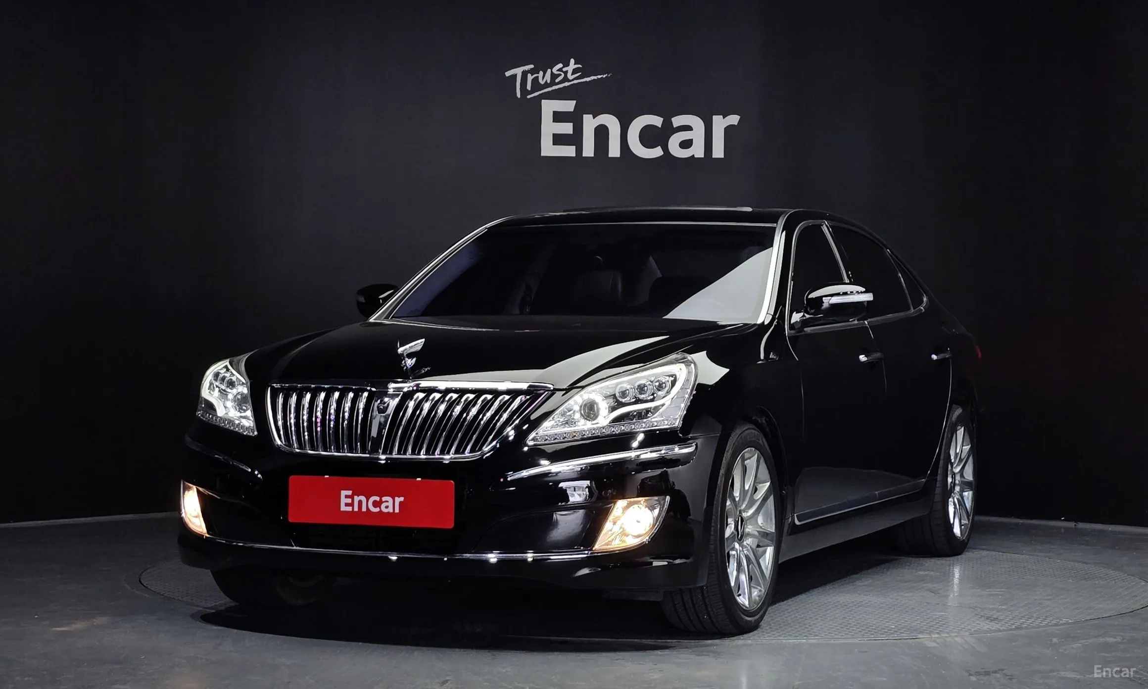 Equus (new)