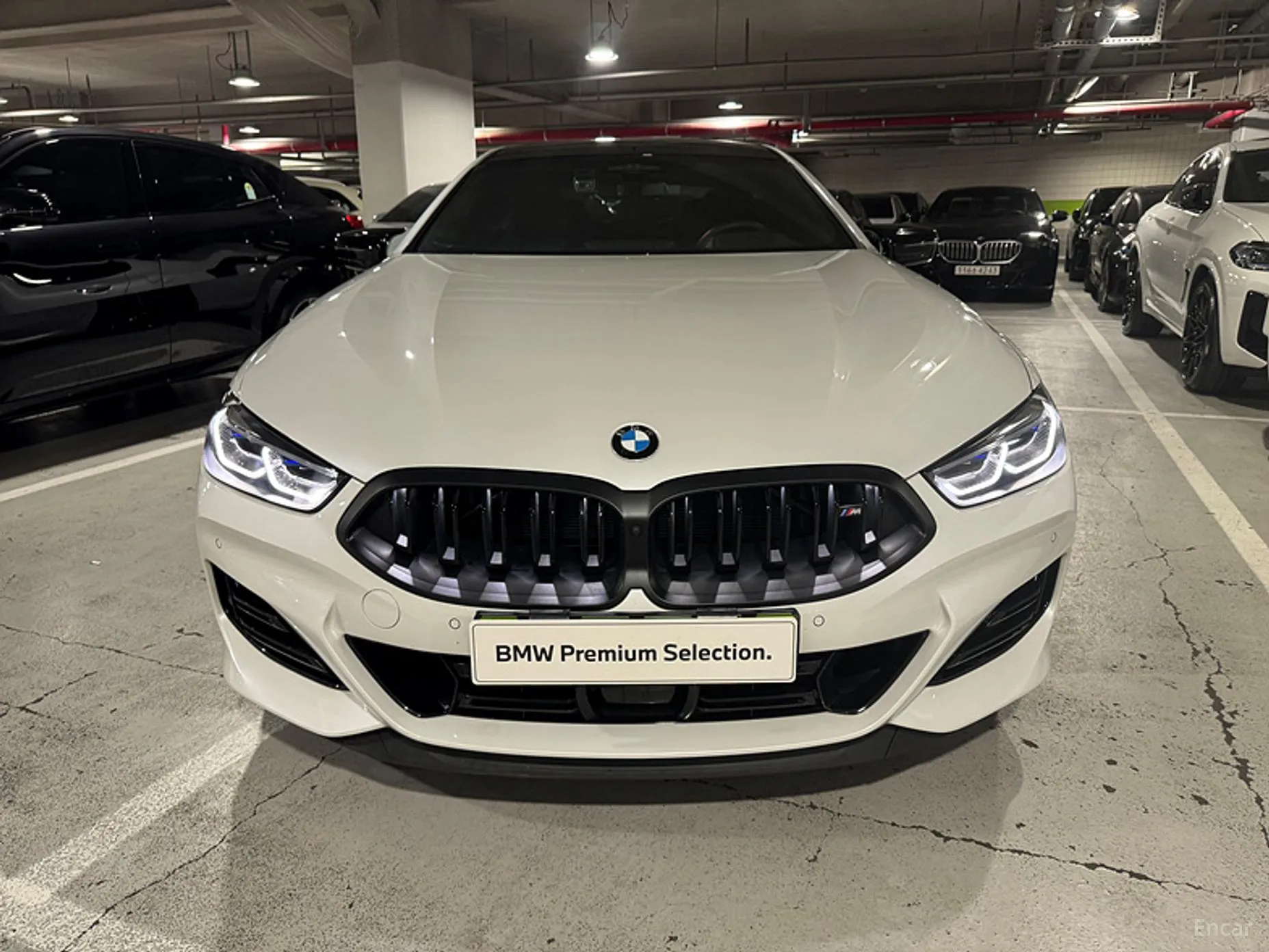 BMW 8-series (G15)