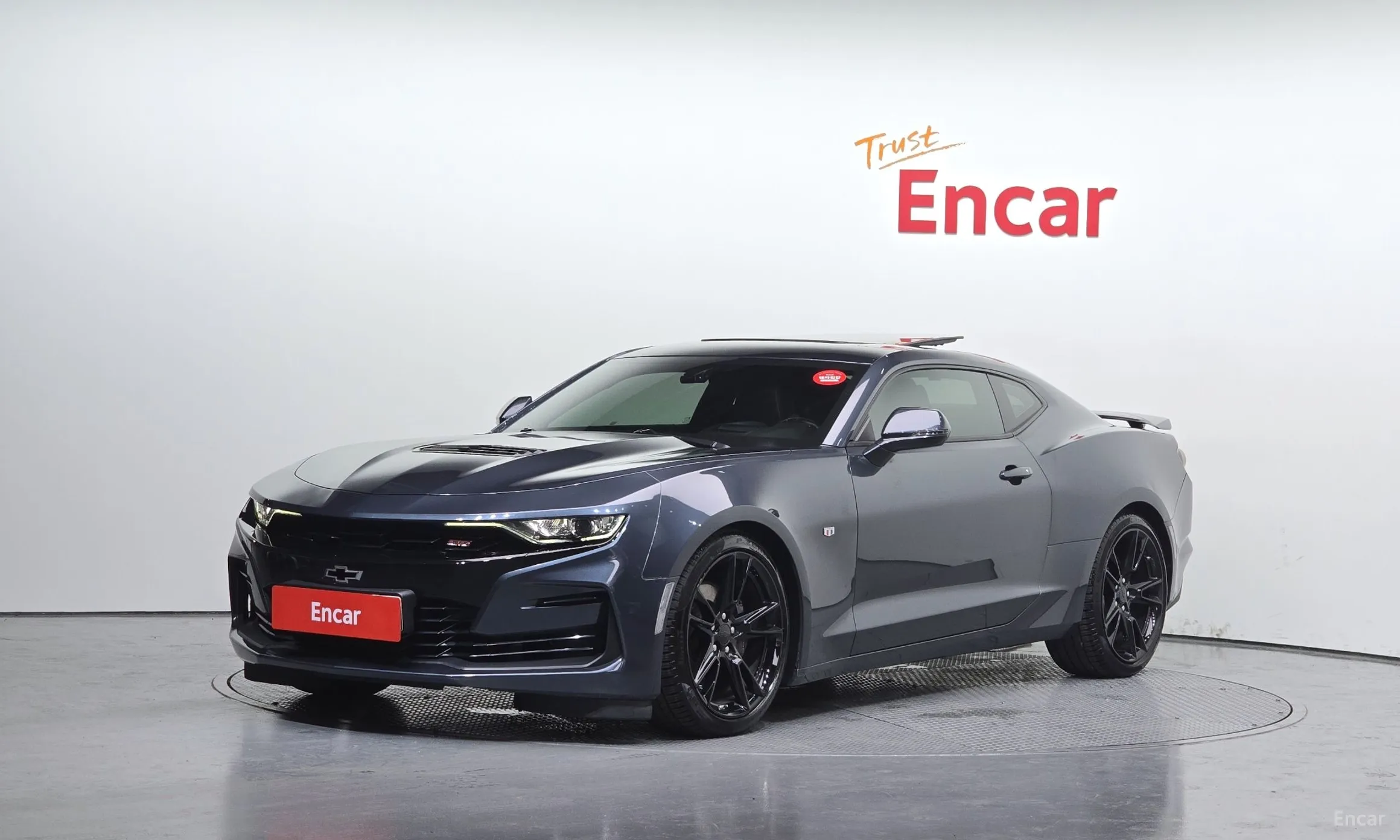 Chevrolet (GM Daewoo) Camaro