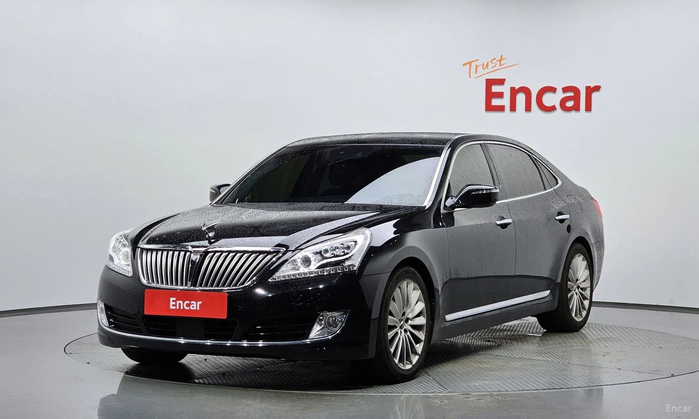 Equus (new)