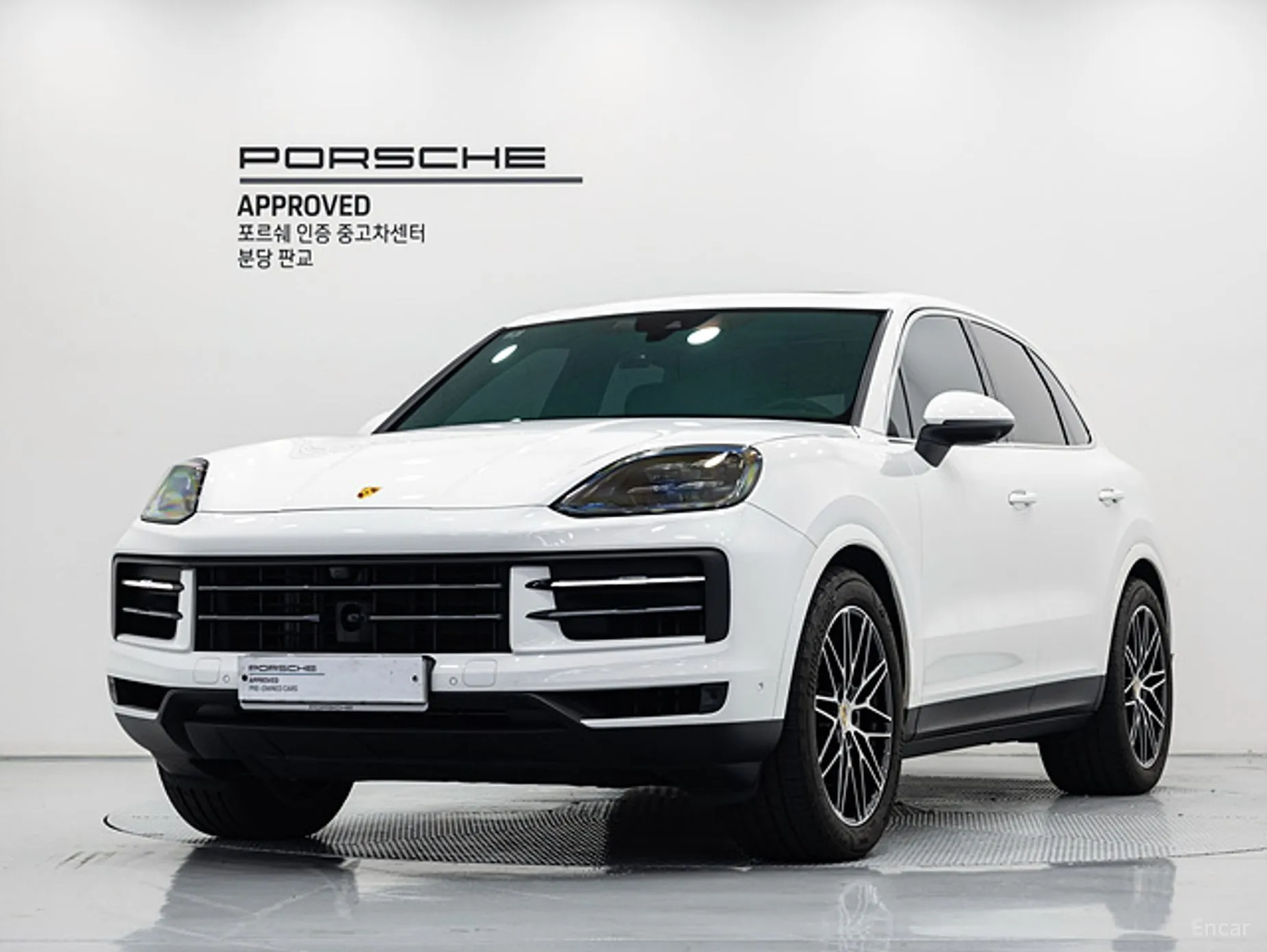 Cayenne (PO536)