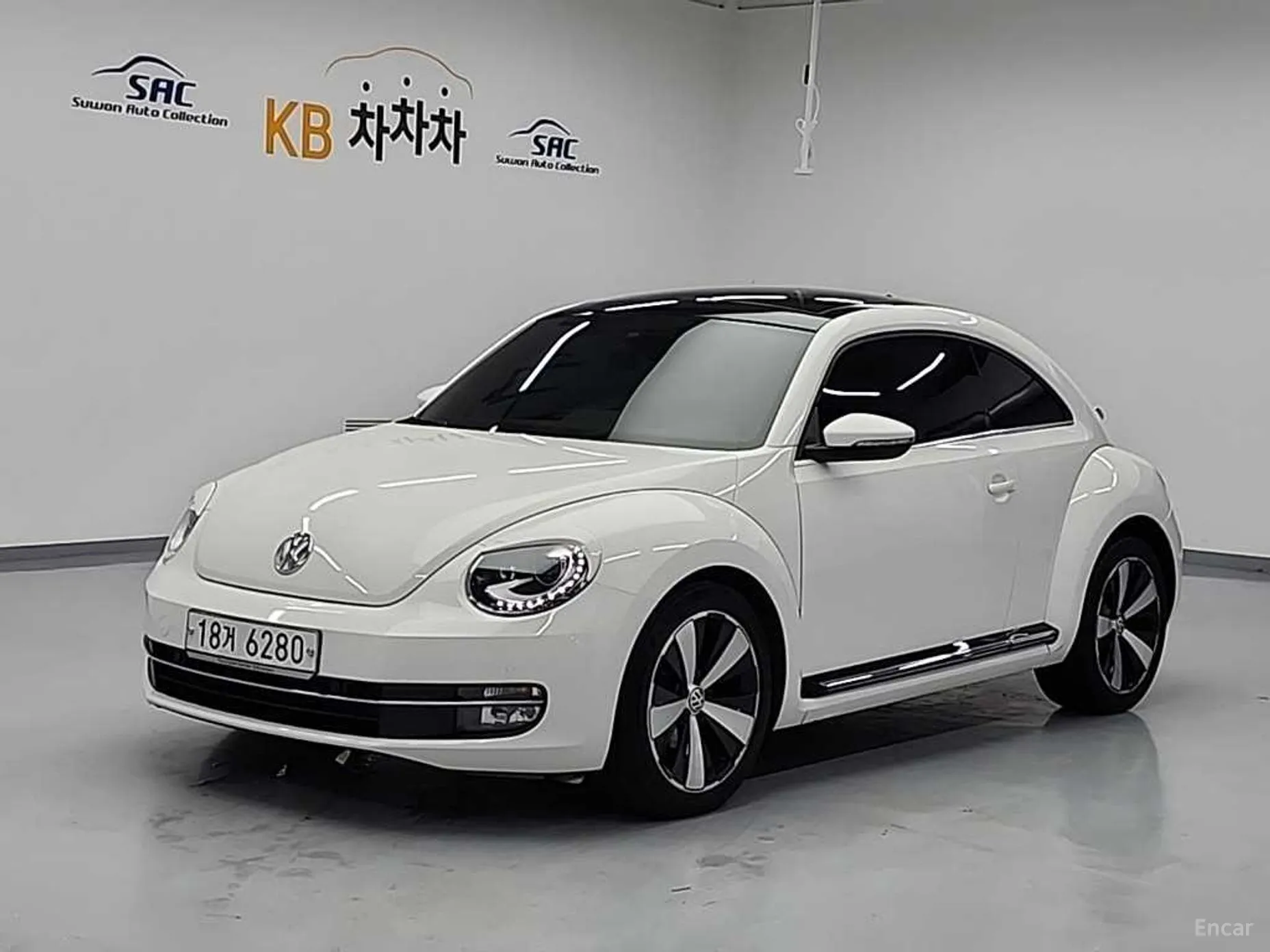 The Beetle